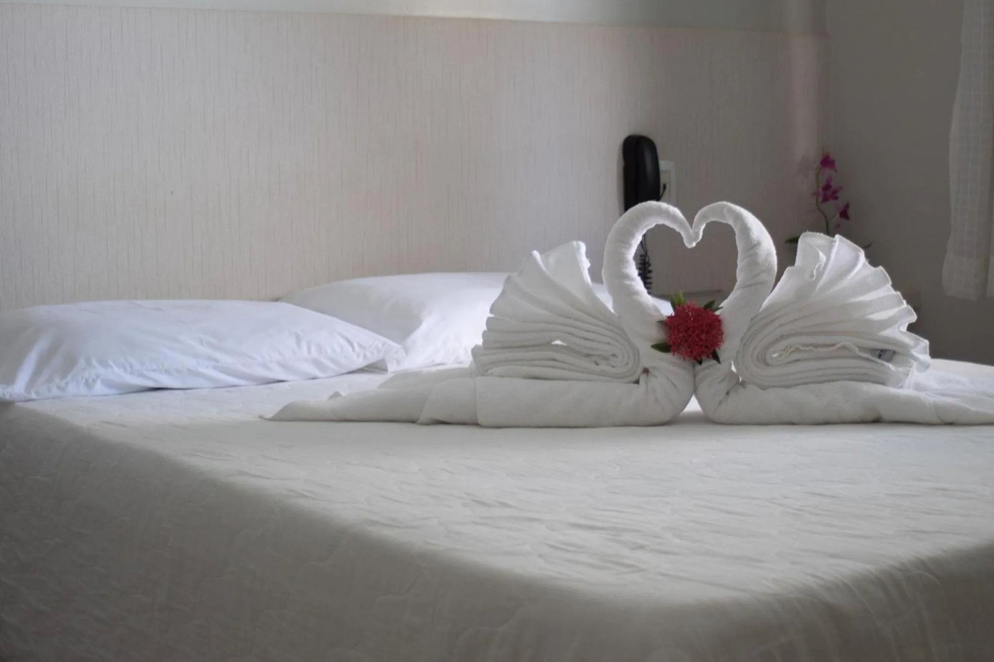 Bed in Xingu Praia Hotel