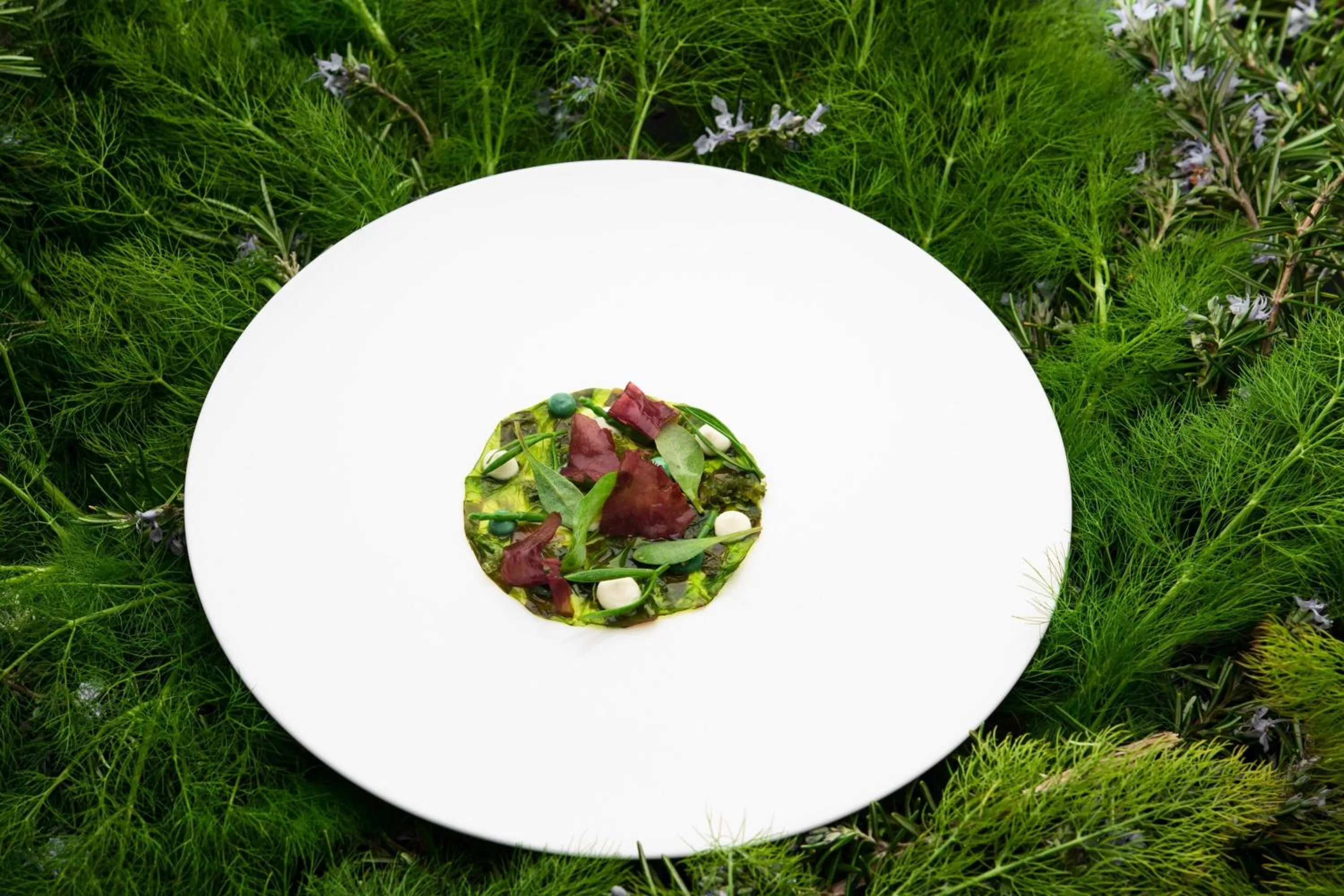 Restaurant/places to eat in JW Marriott Venice Resort & Spa