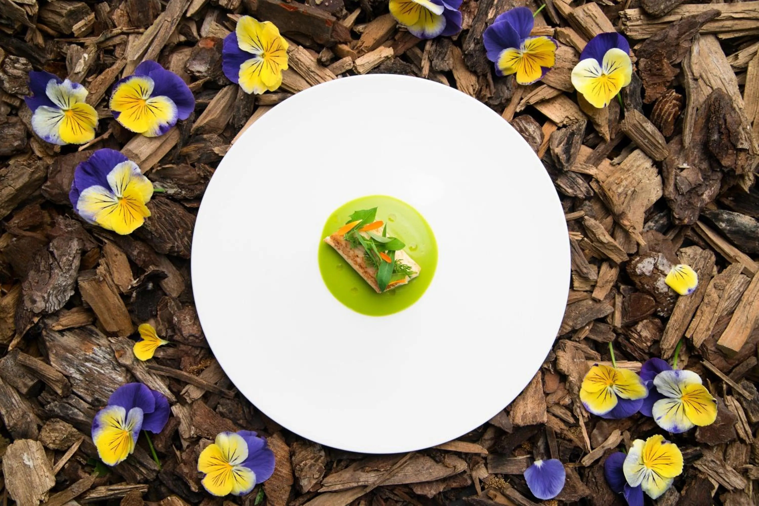 Restaurant/places to eat in JW Marriott Venice Resort & Spa