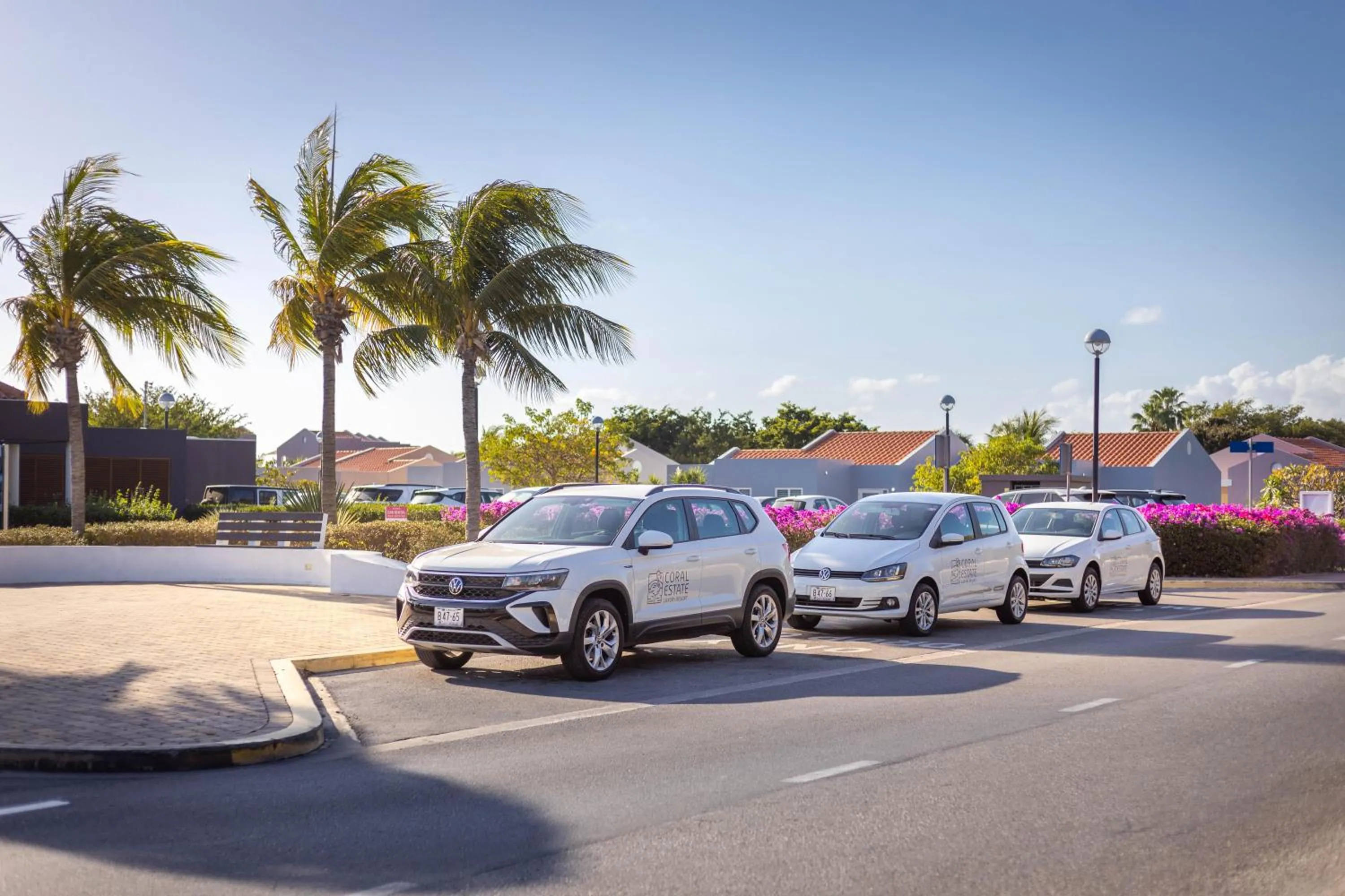 Other in Coral Estate Luxury Resort