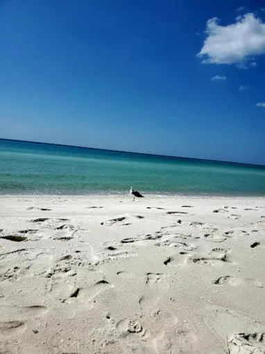 Day in Palmetto Beachfront Hotel, a By The Sea Resort