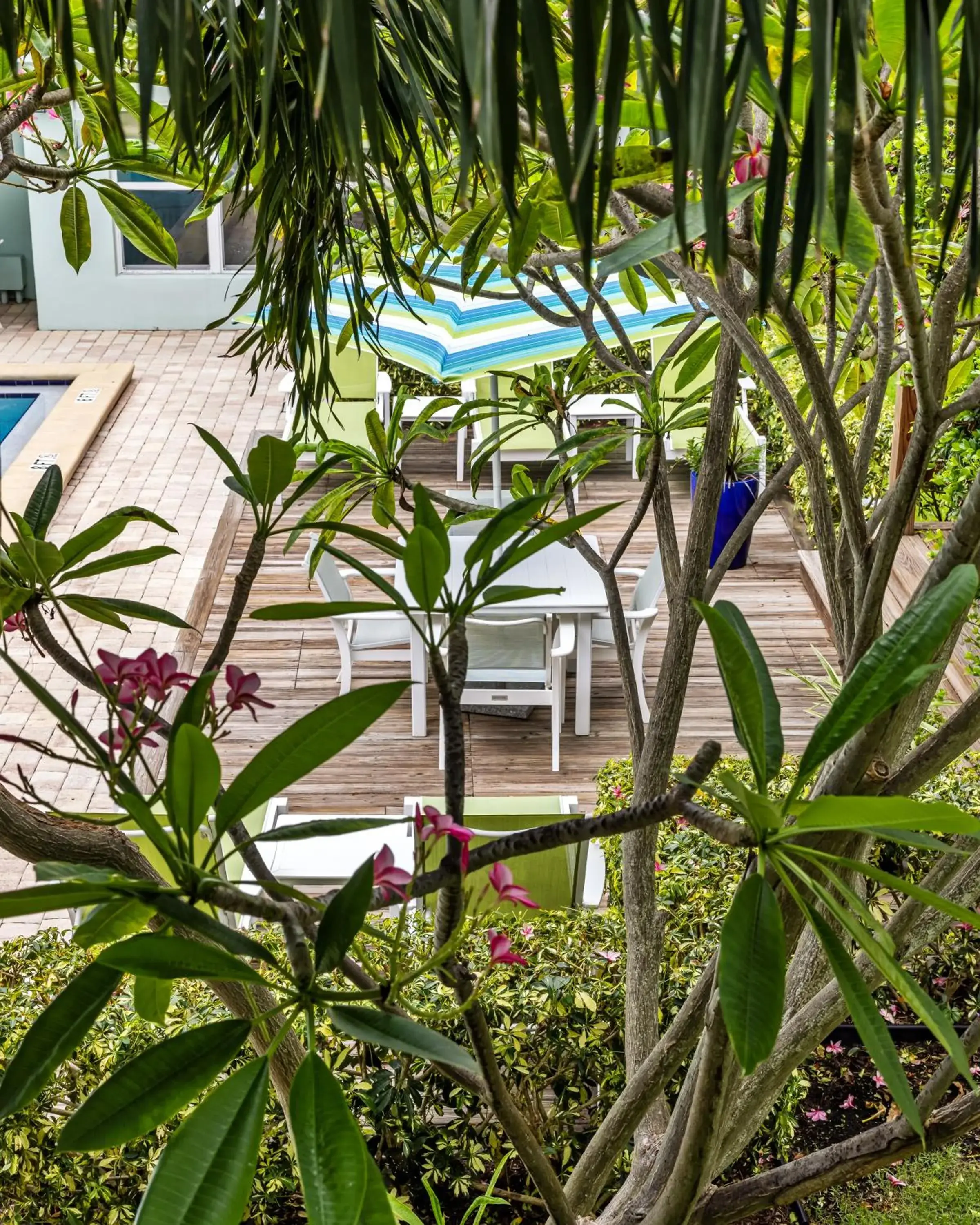 Pool view in Sun Dek Beach House Pool view in Sun Dek Beach House