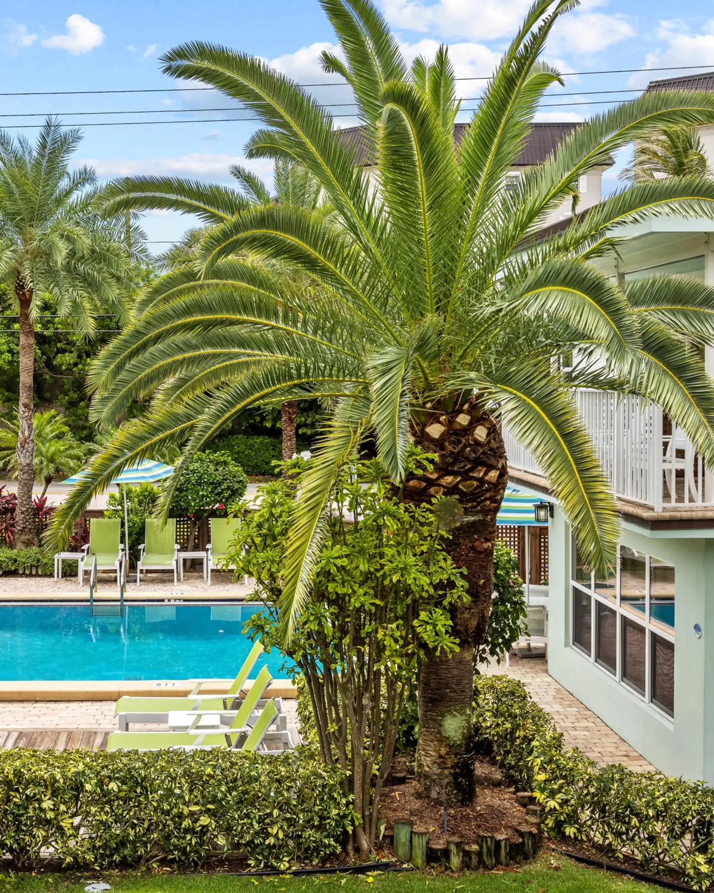 Swimming pool in Sun Dek Beach House Swimming pool in Sun Dek Beach House