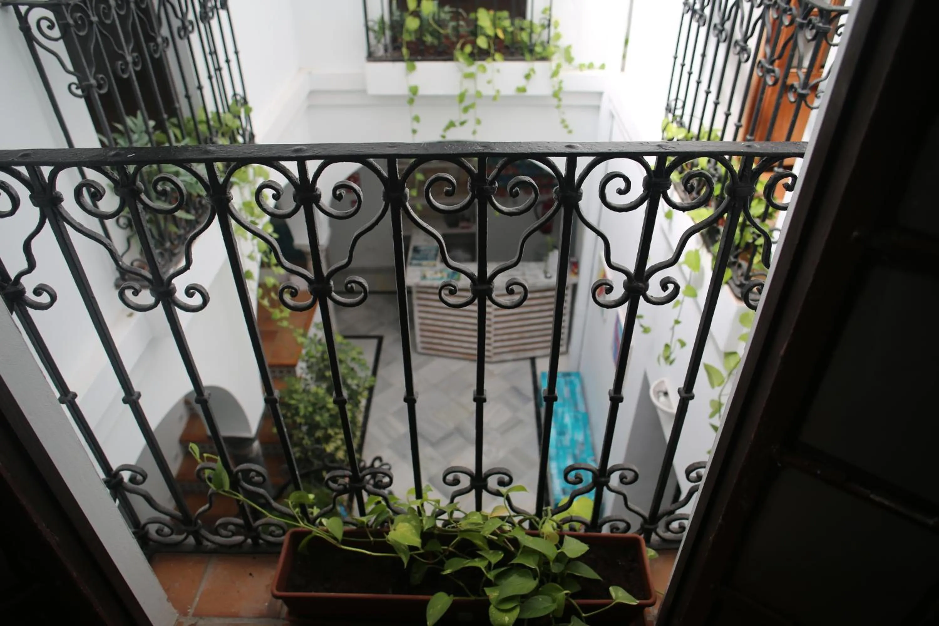 Patio in Wake up in Tarifa Hostel & Restaurant Lounge