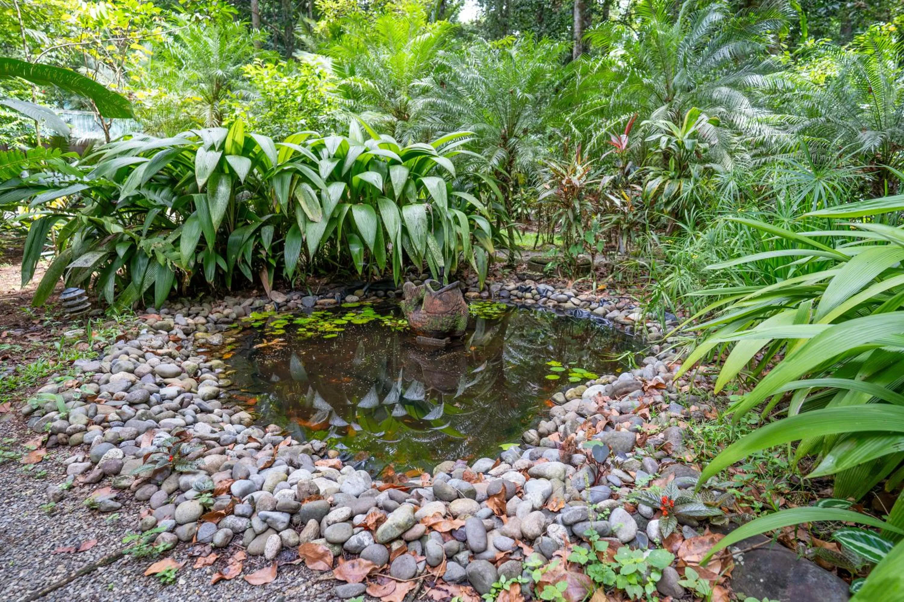 Spring in Casa Naranja
