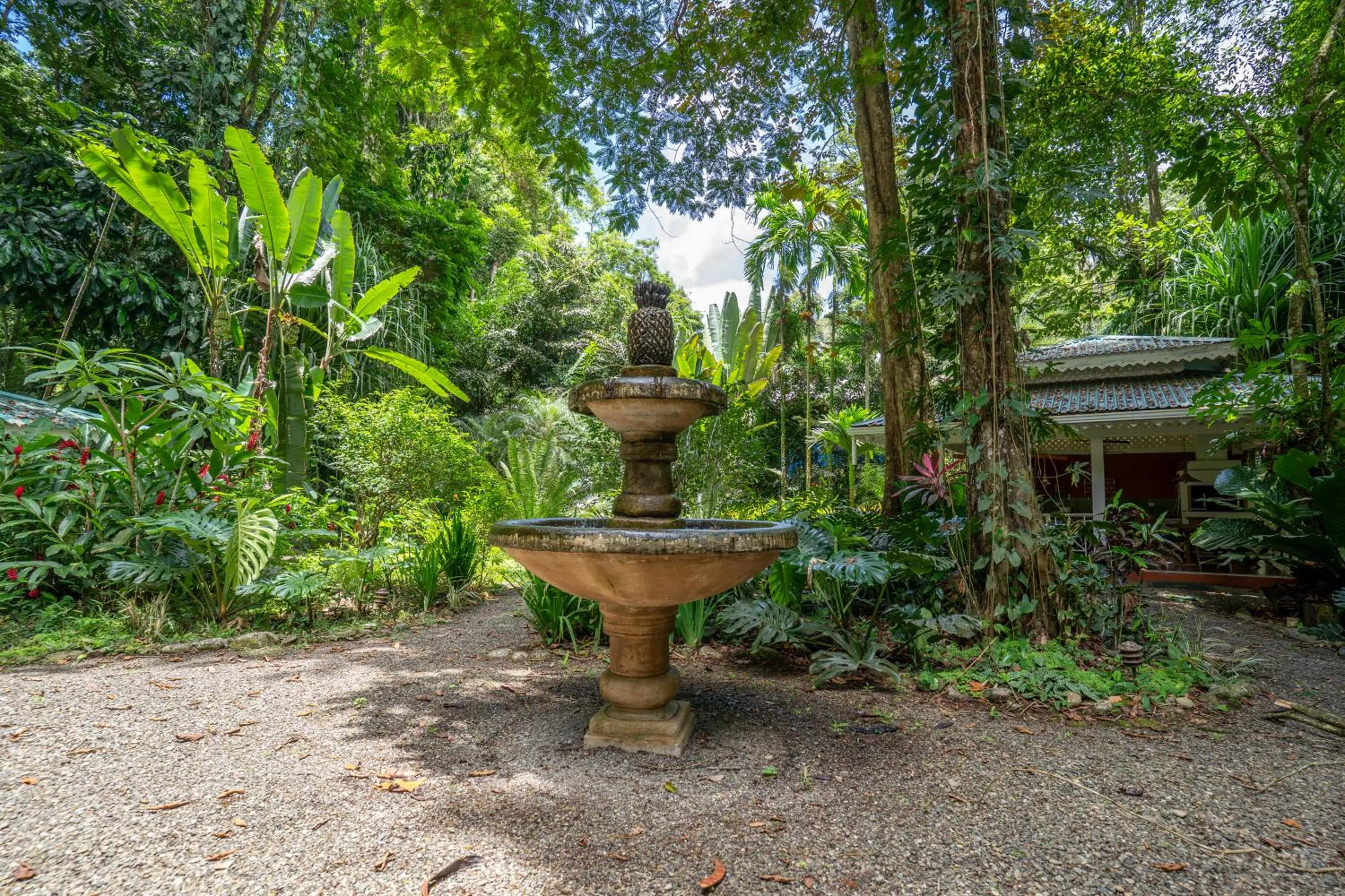 Spring in Casa Naranja