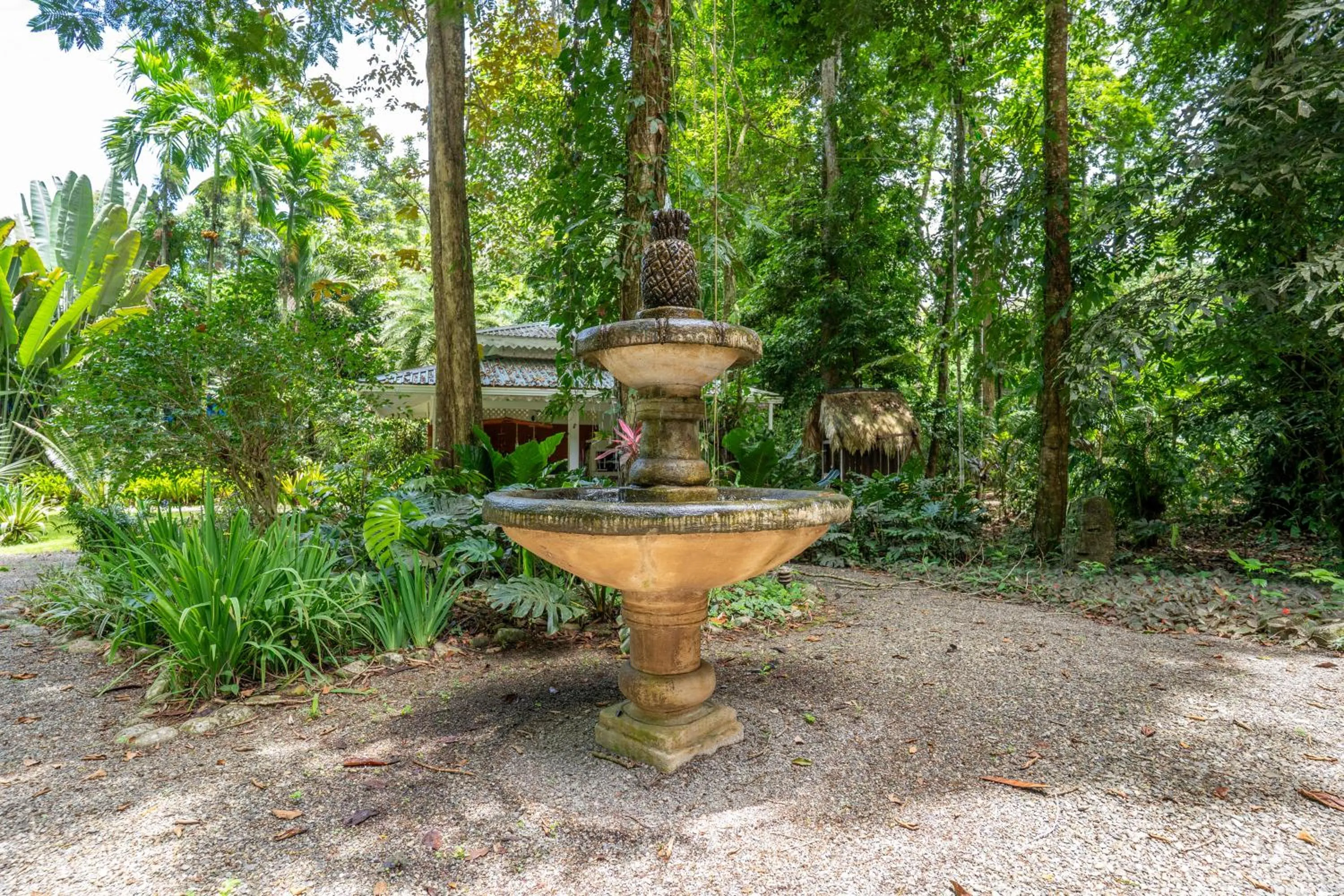 Spring in Casa Naranja