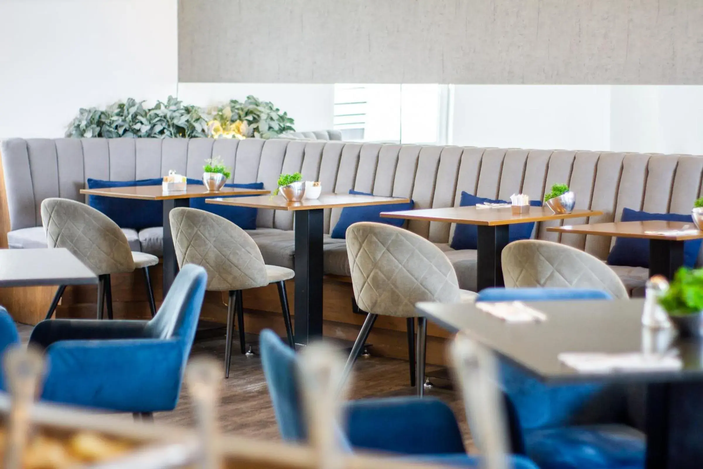 Restaurant/places to eat in Ejecutivo Express Guadalajara Providencia - Av México Restaurant/places to eat in Ejecutivo Express Guadalajara Providencia - Av México