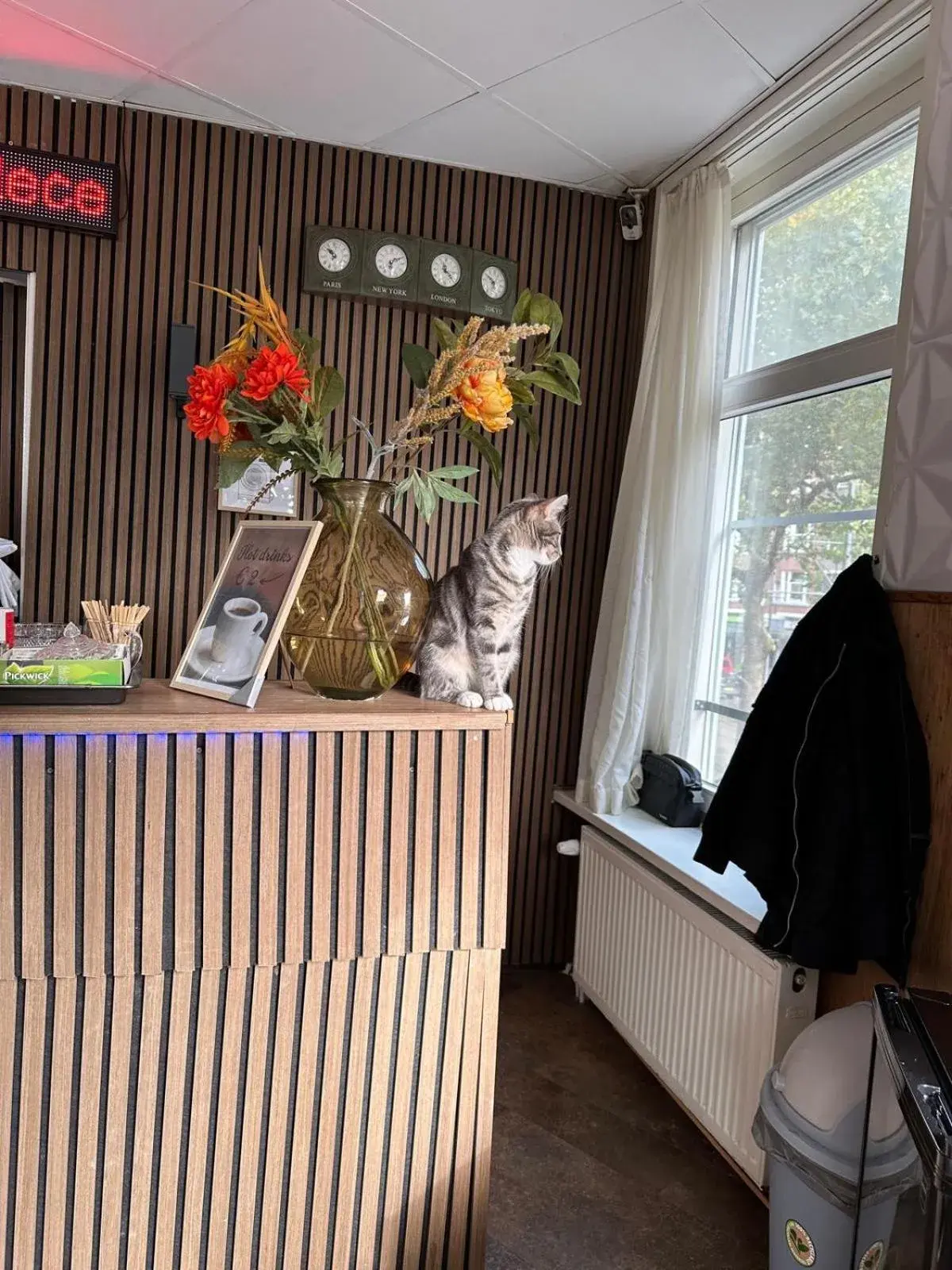 Lobby or reception in Flex-Inn Lobby or reception in Flex-Inn