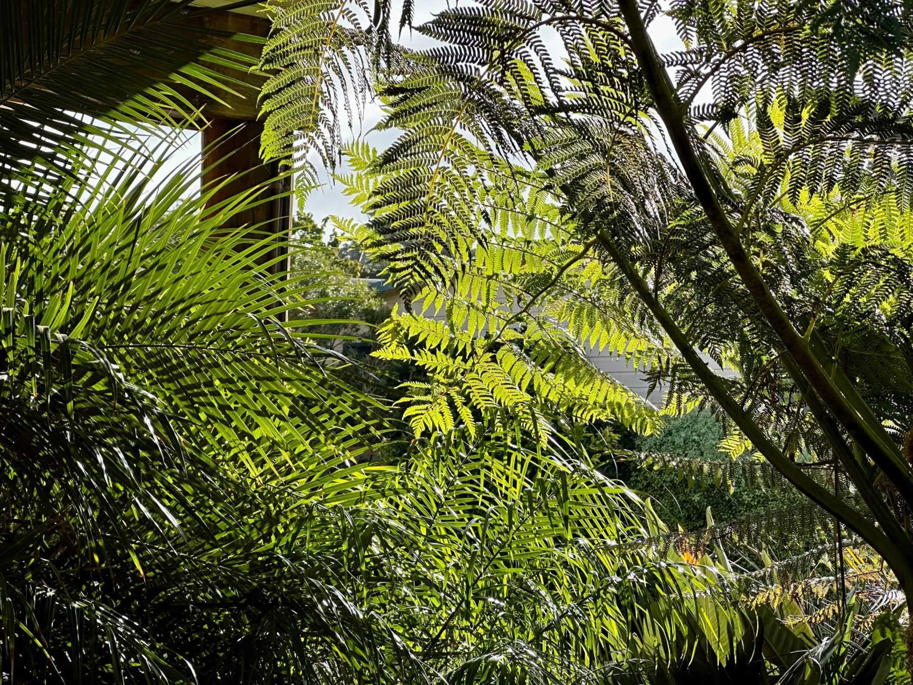 Garden in The Wave Oasis SC B&B
