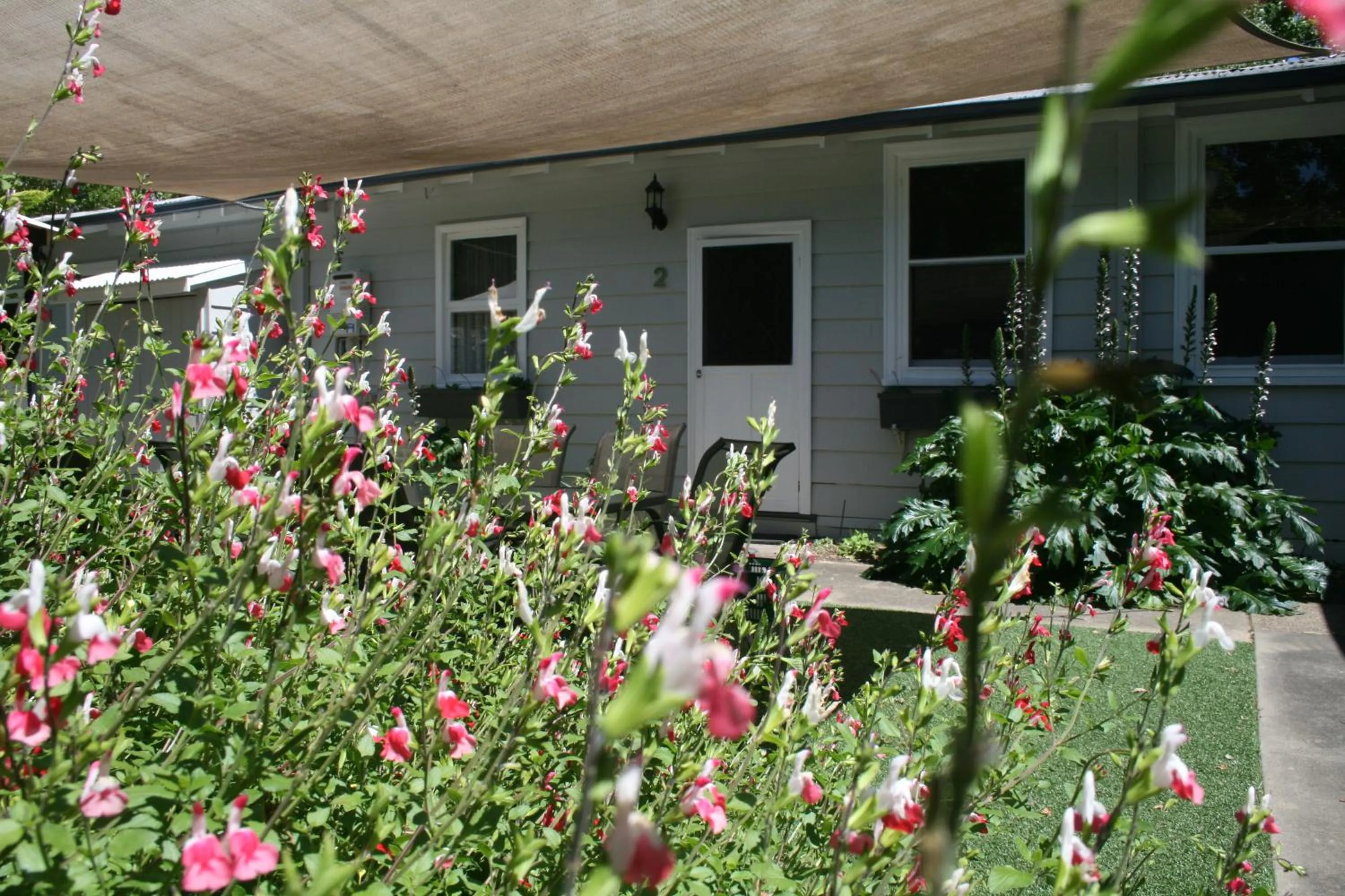 Facade/entrance in Elm Lodge Bright