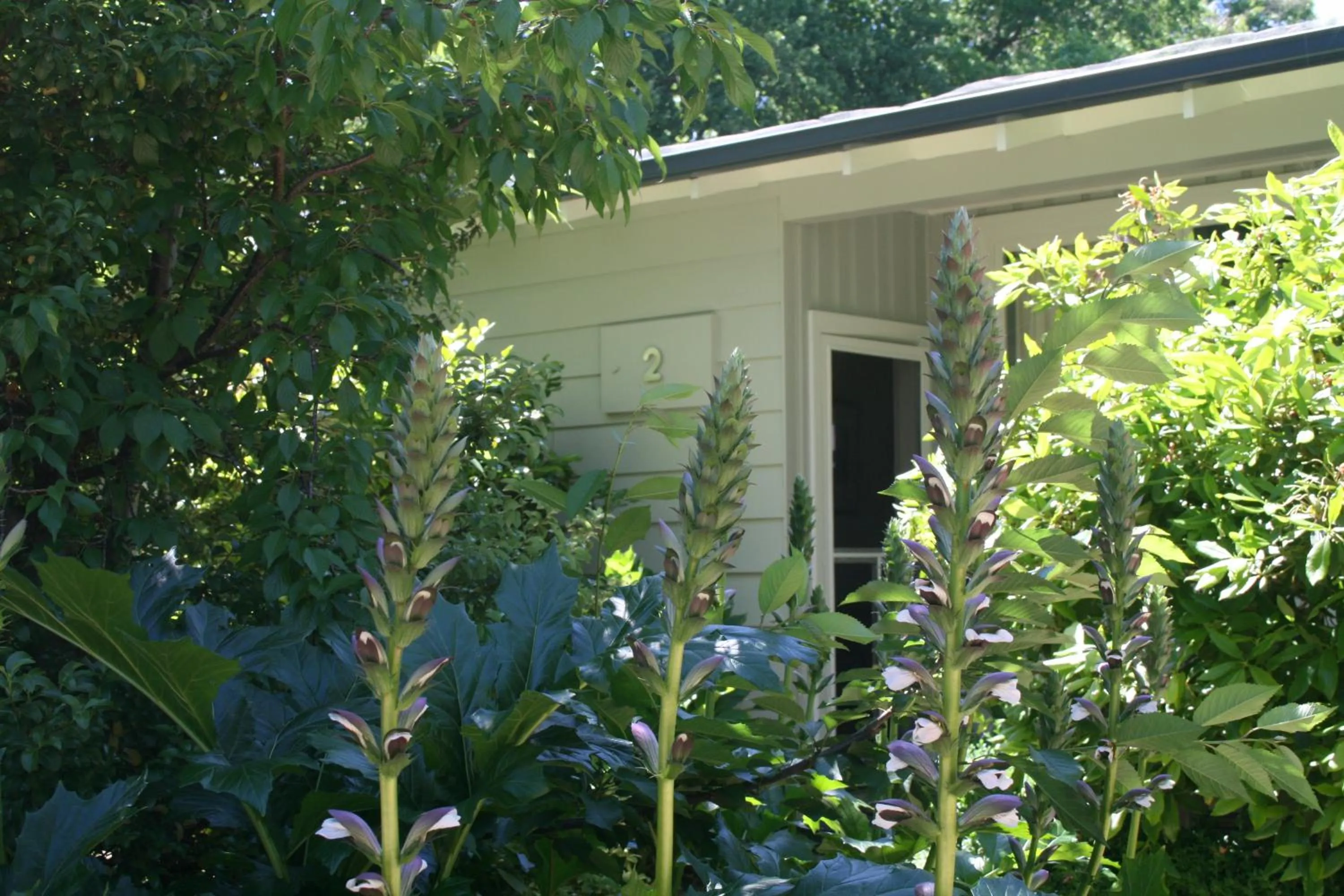 Facade/entrance in Elm Lodge Bright