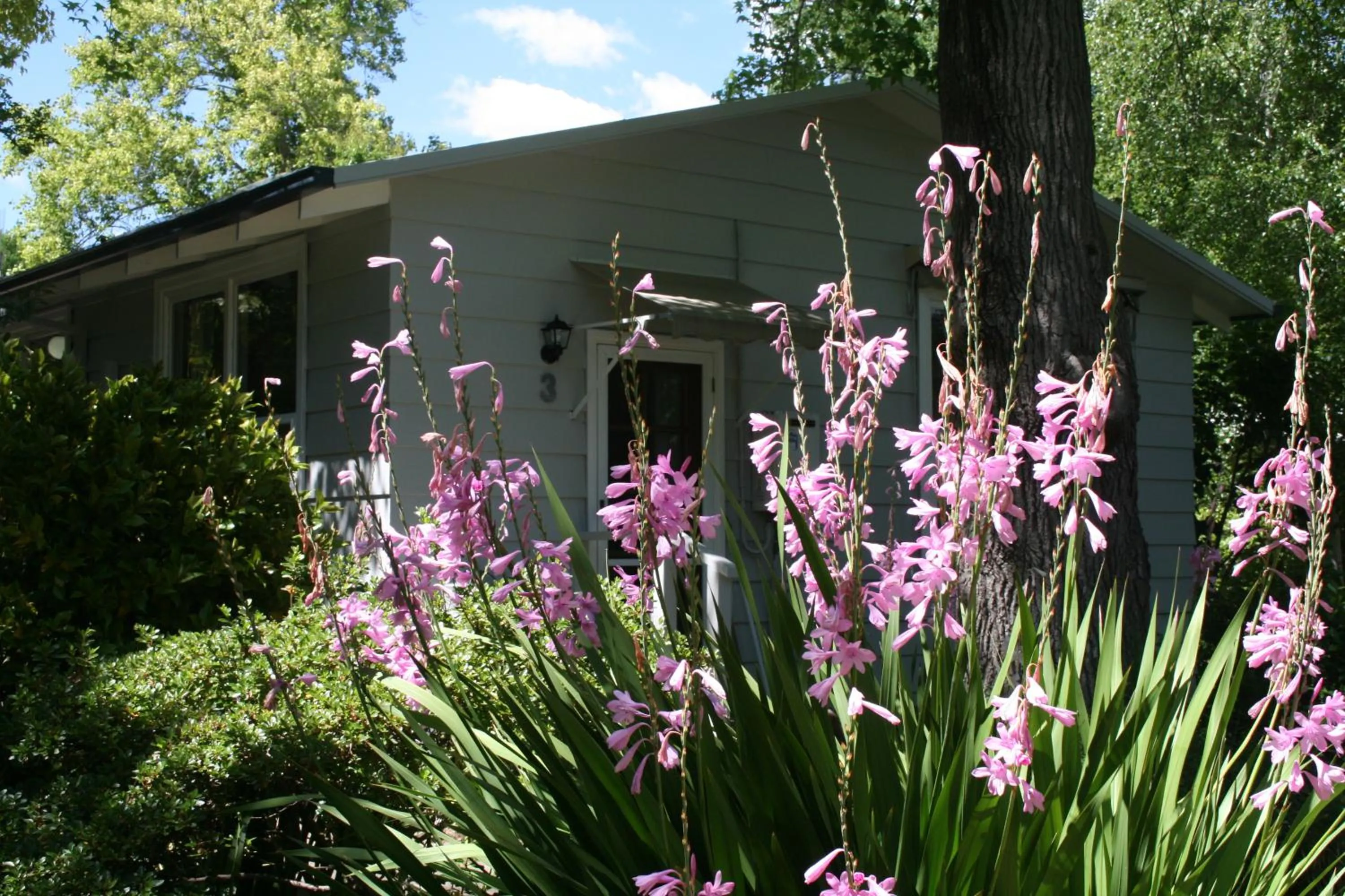 Facade/entrance in Elm Lodge Bright