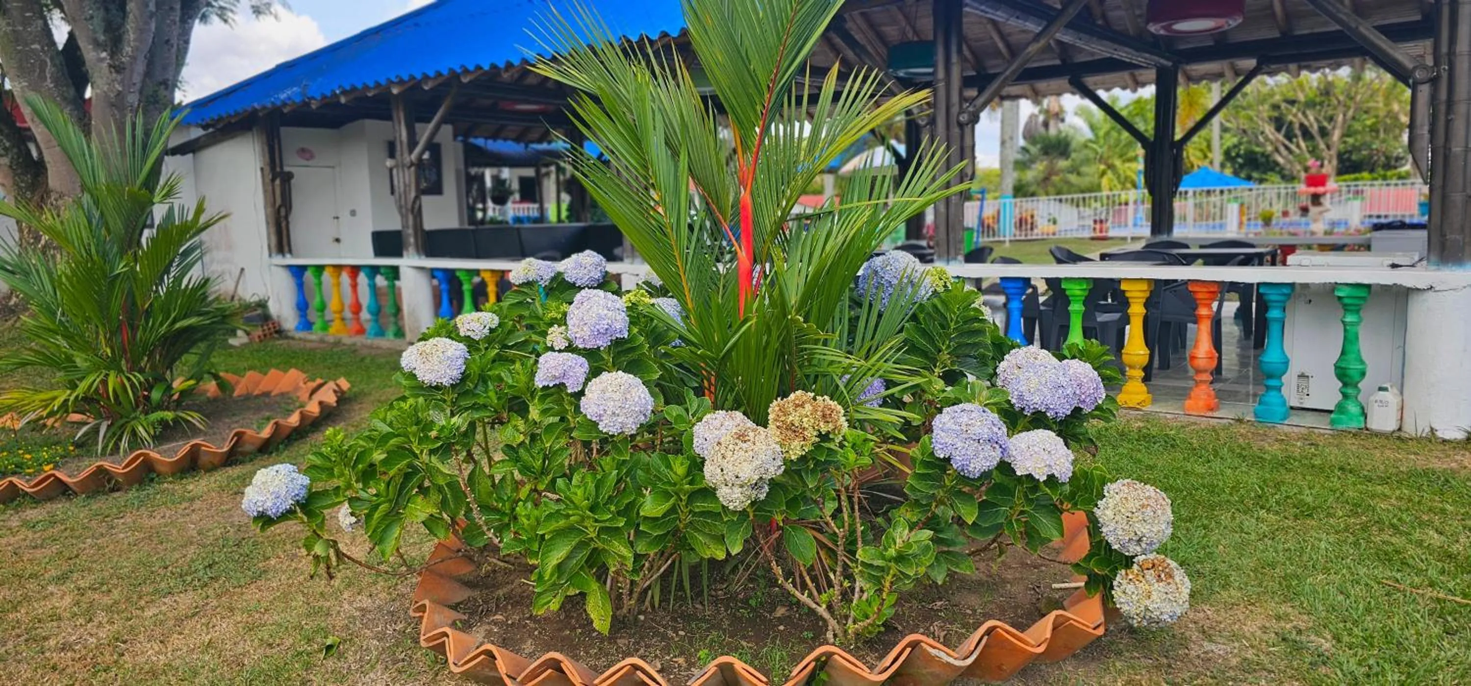 Garden in Cabañas Cafeteras Cerritos