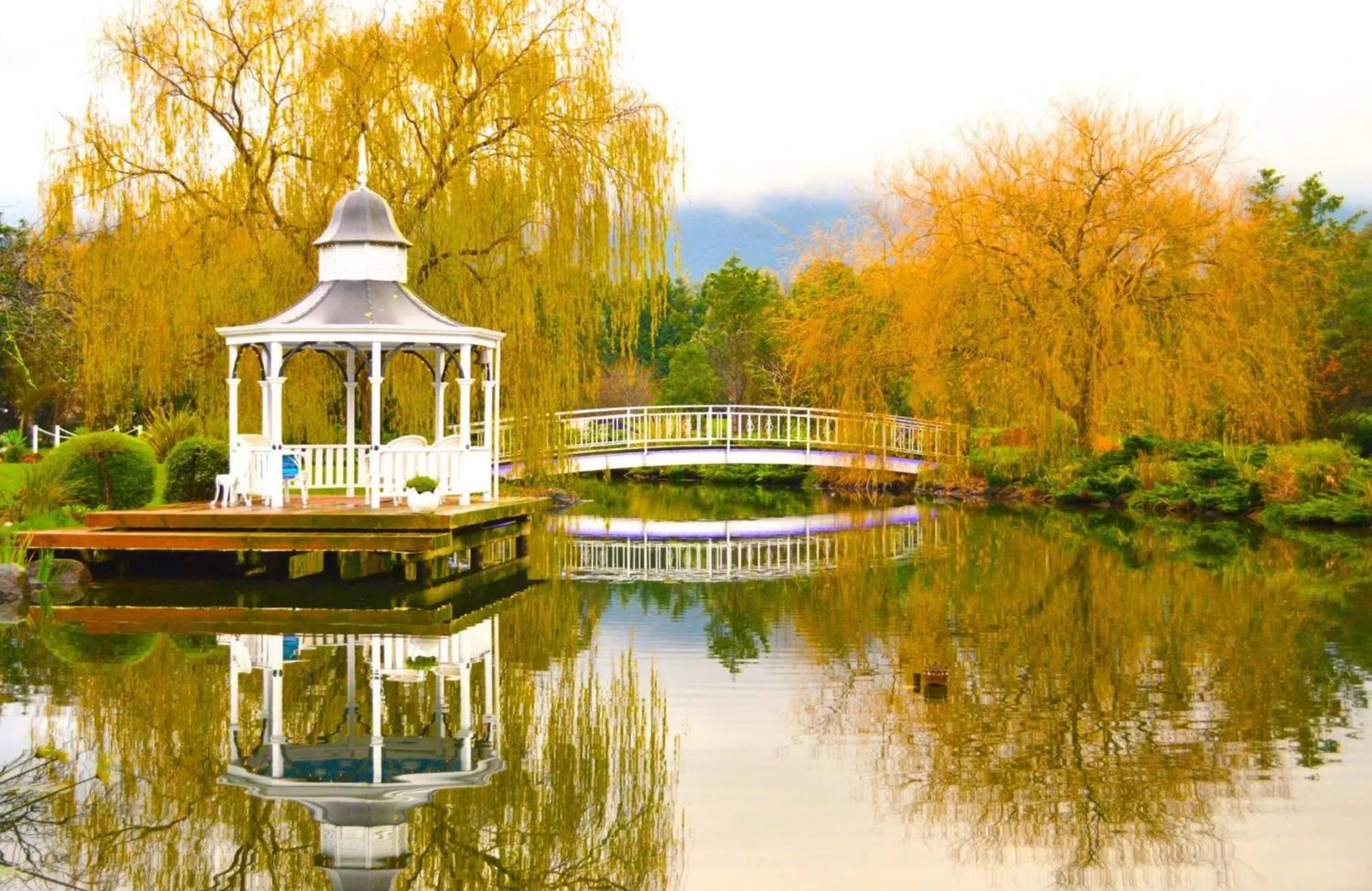 Mountain view in Lakeside Cottage Luxury B&B