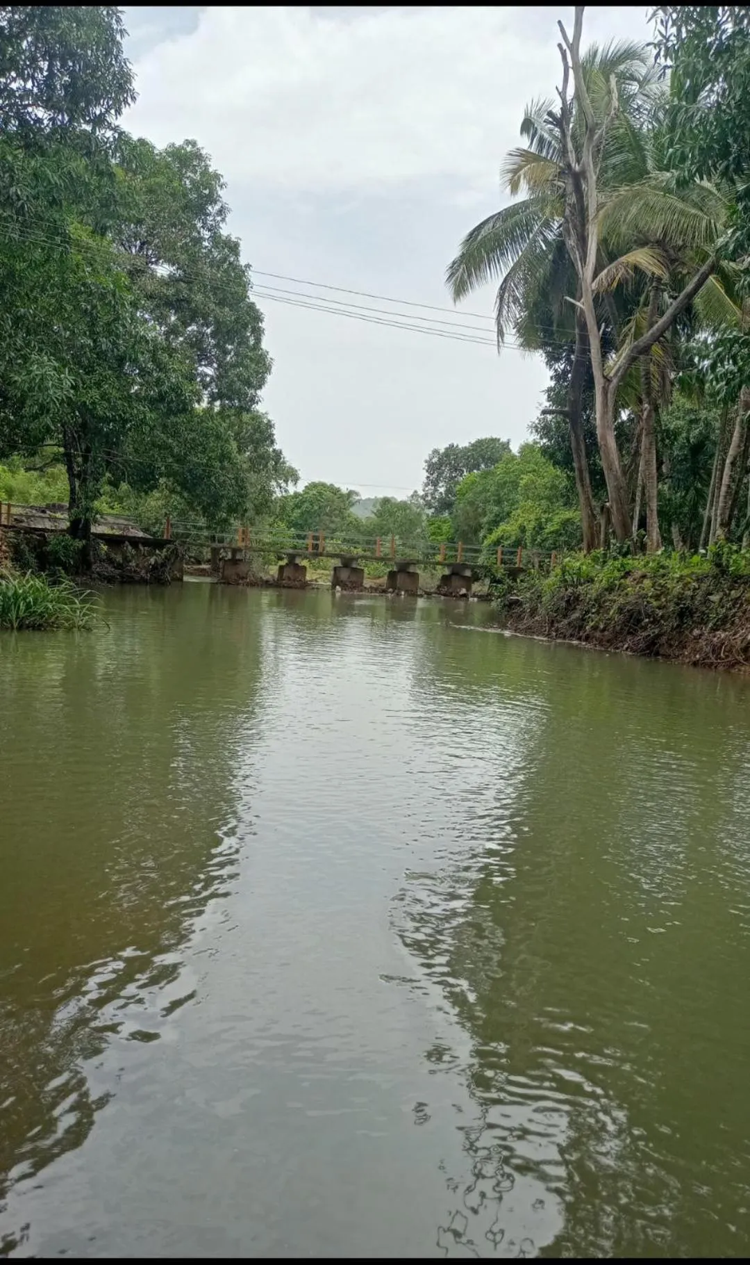 Yashovana Nature Stay Gokarna