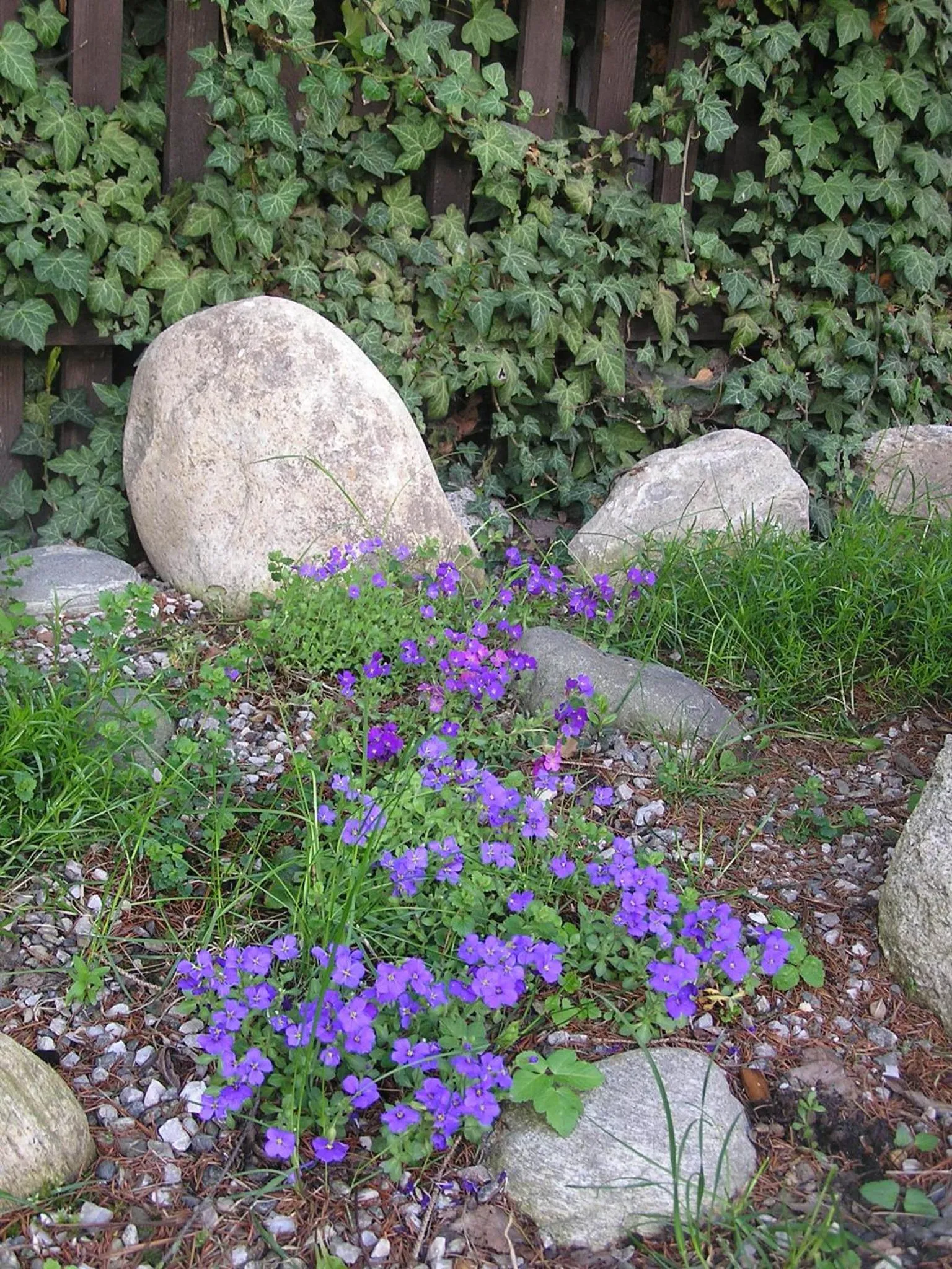 Spring in Pension Sonnenhof