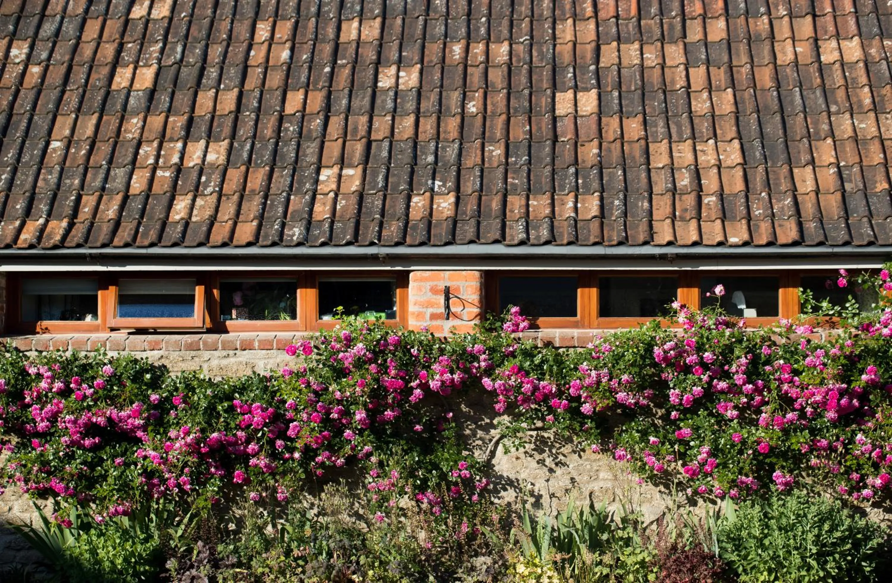 Area and facilities in The Lighthouse