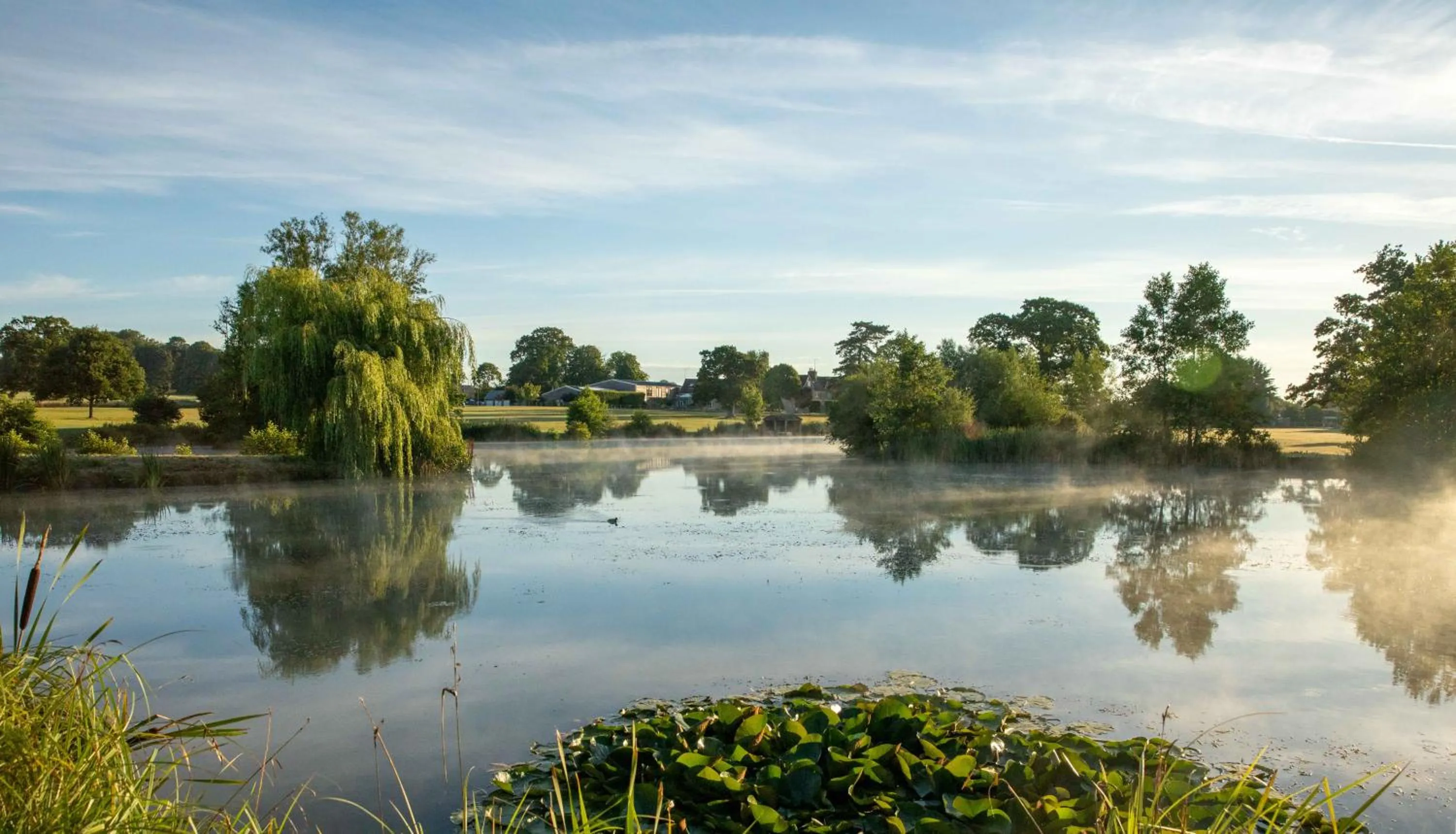 Lake view in The Lighthouse
