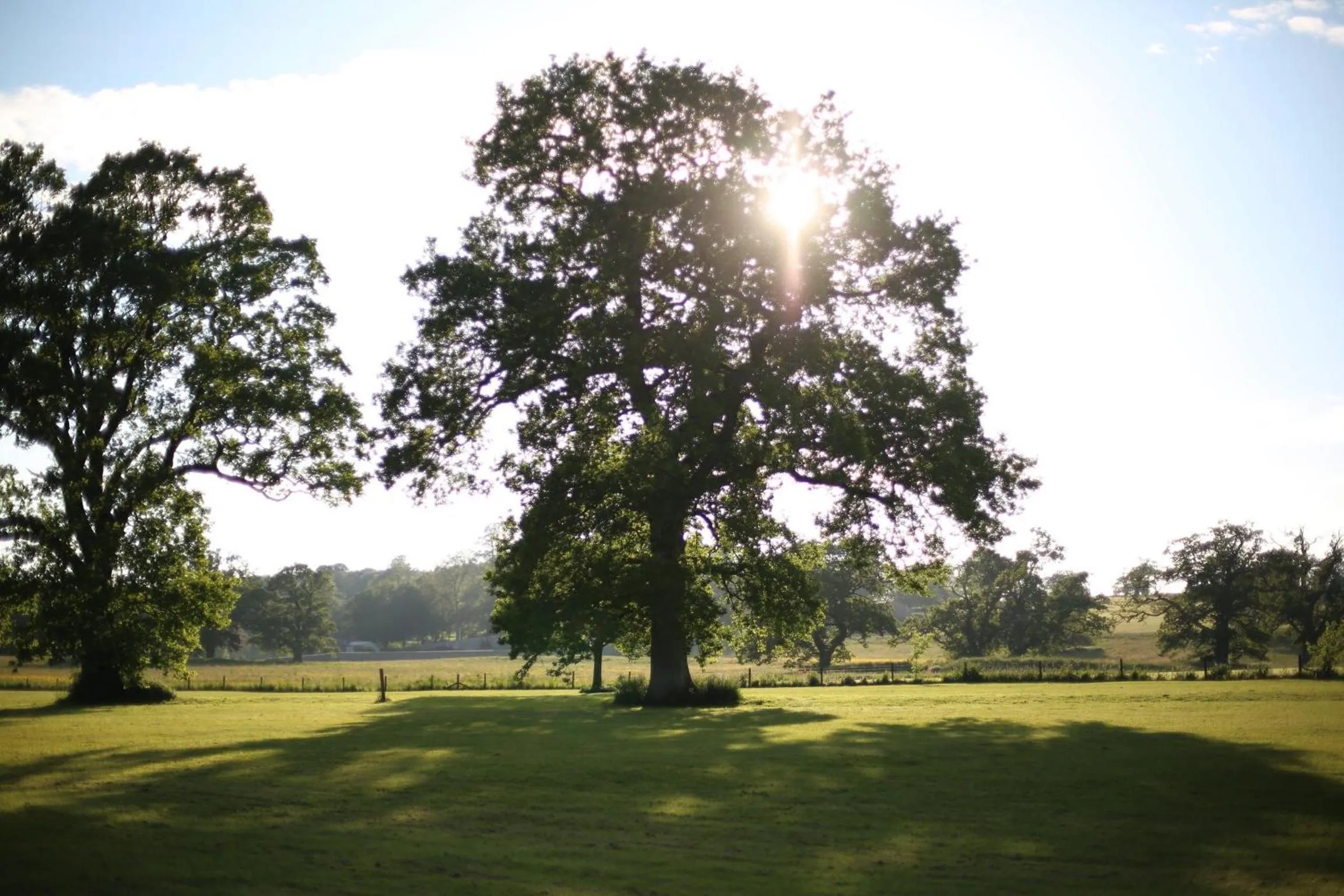 Garden view in The Lighthouse