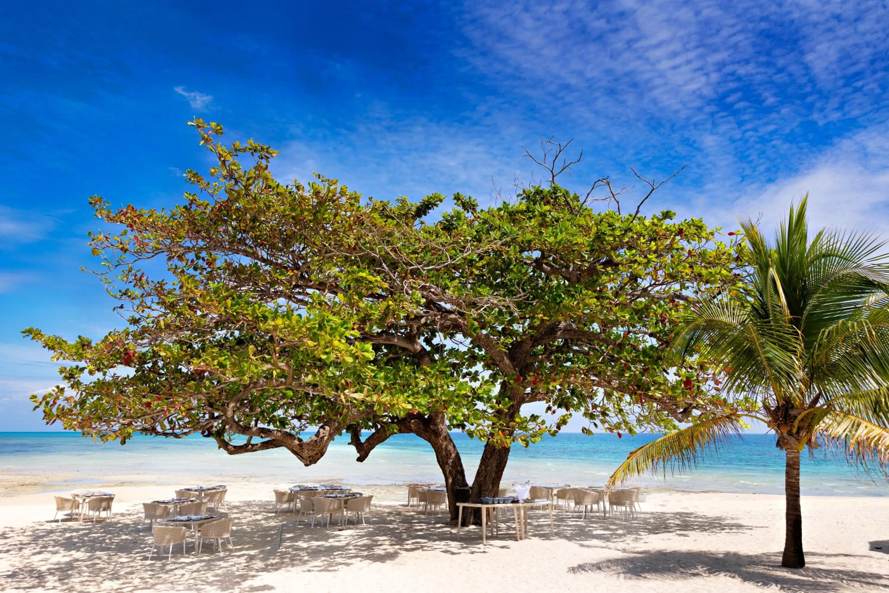 Beach in Bawe Island Zanzibar