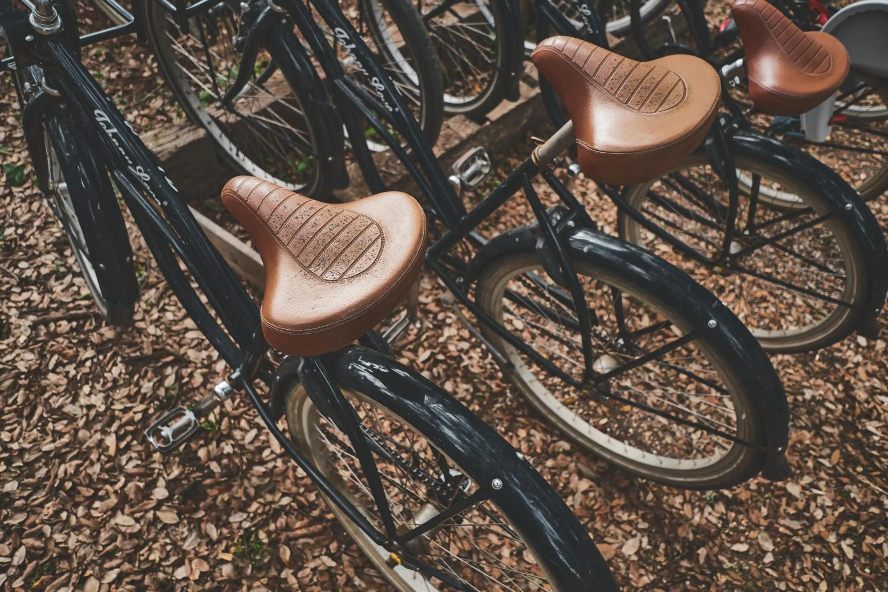 Activities in Sublime Comporta Country Retreat & SPA