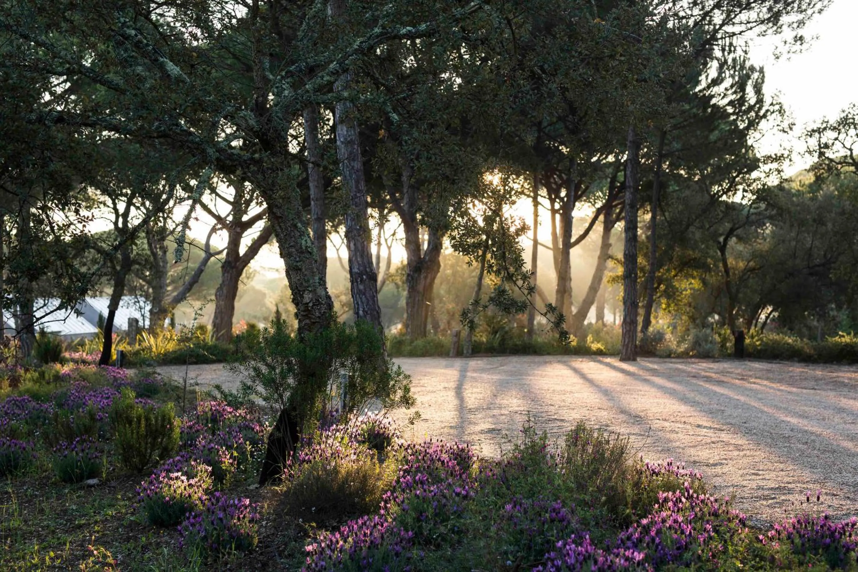 Natural landscape in Sublime Comporta Country Retreat & SPA
