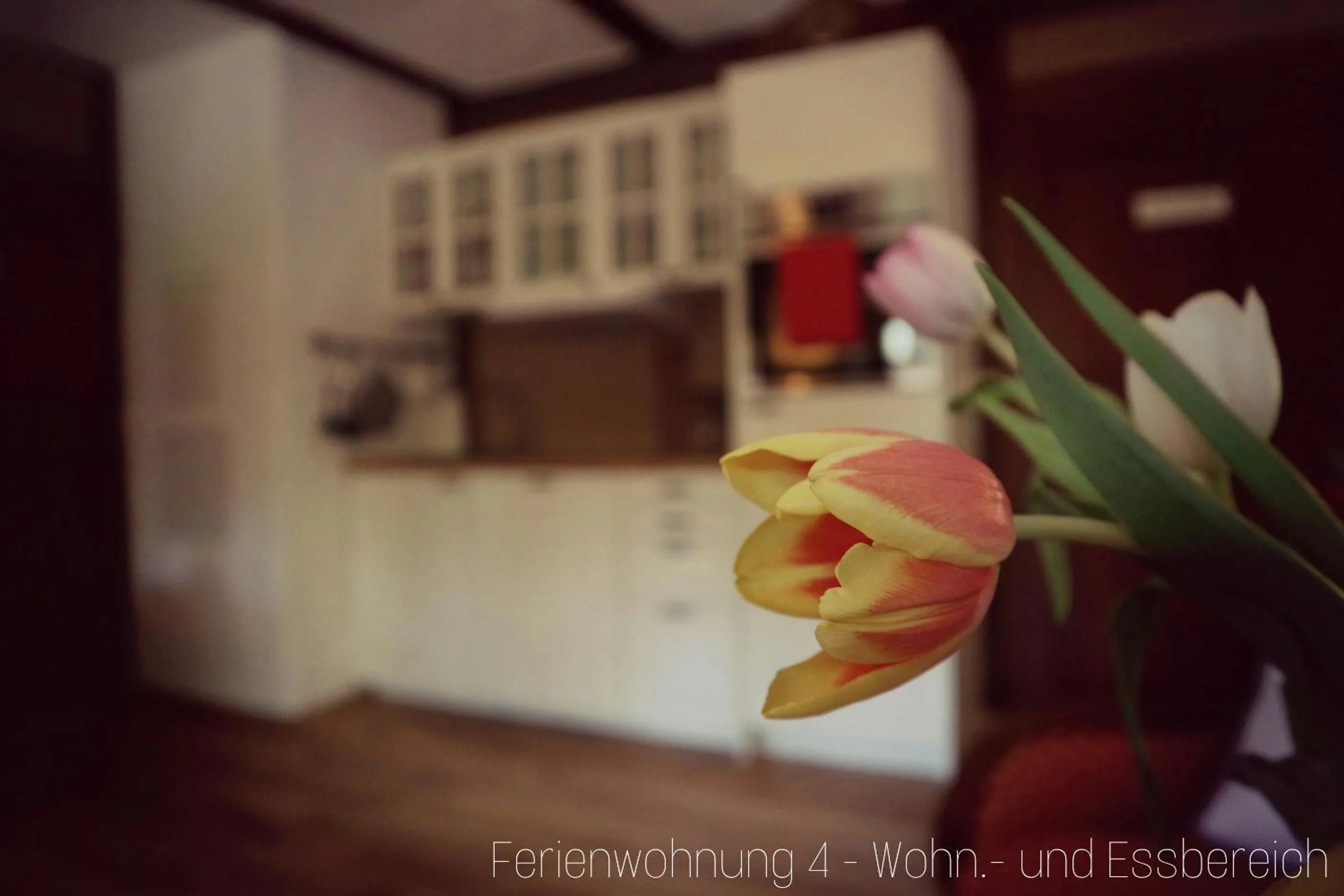 Apartment Grubenhaus20