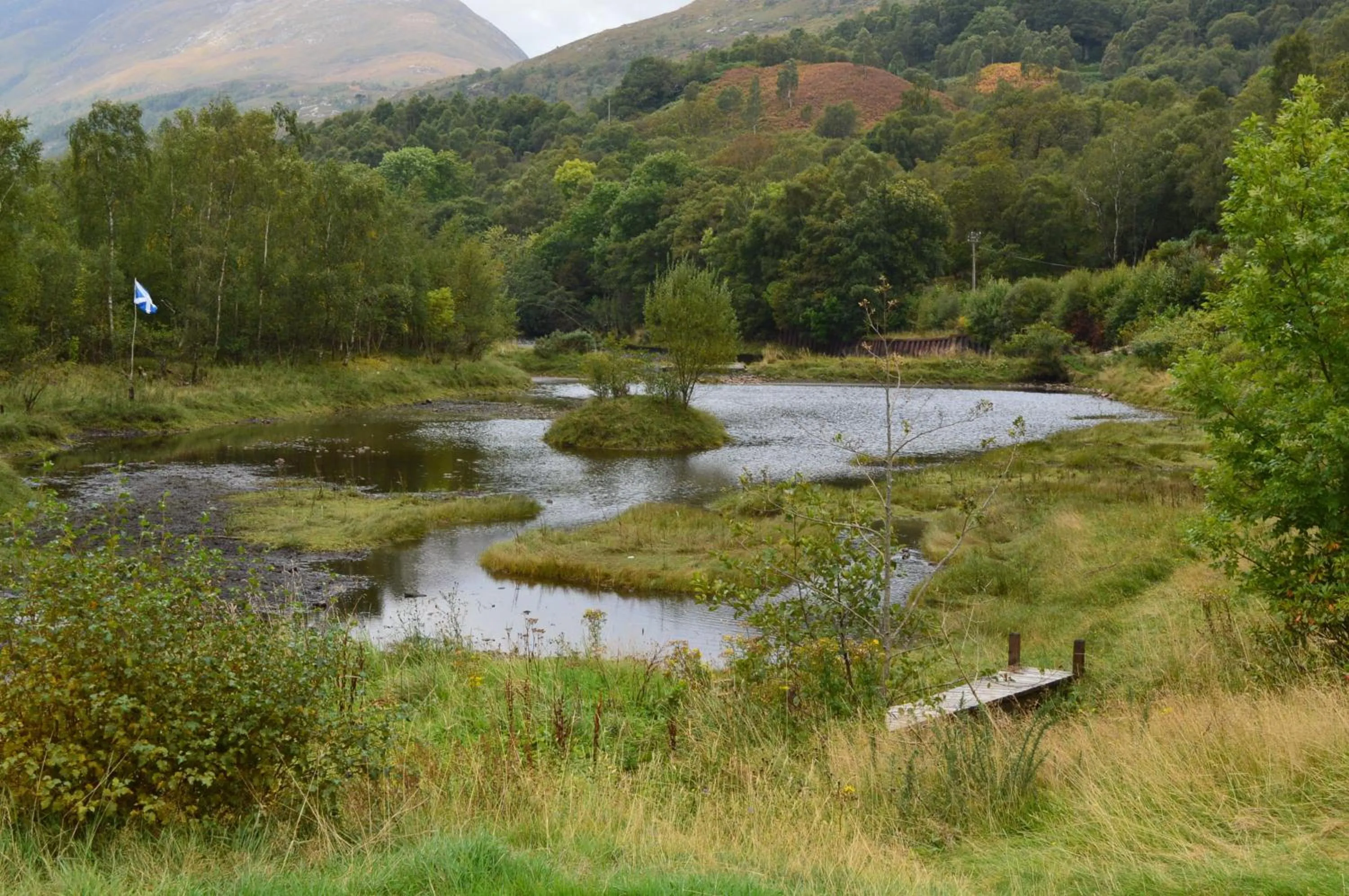 View (from property/room) in MacDonald Hotel & Cabins