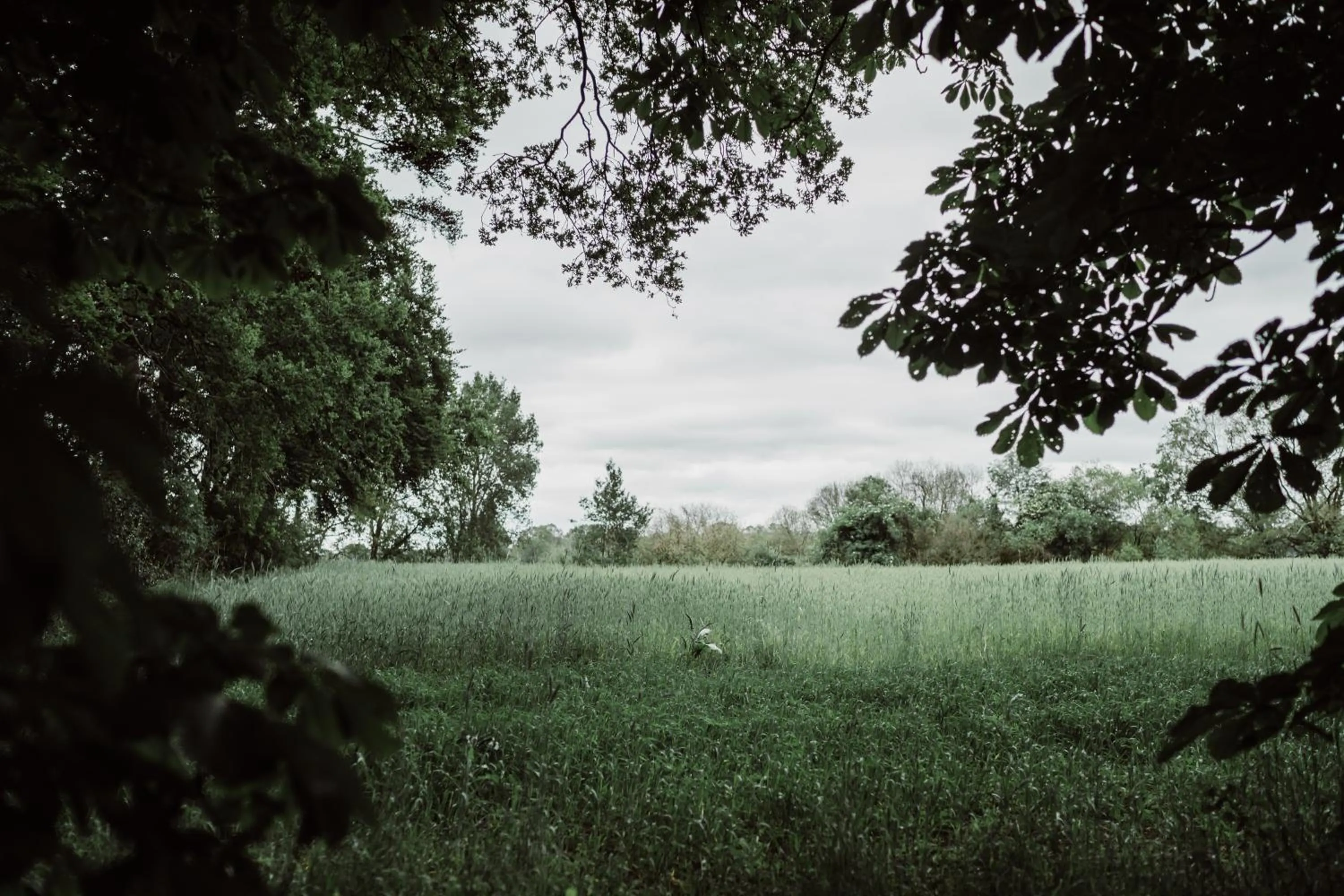 Area and facilities in Châteauhotel De Havixhorst