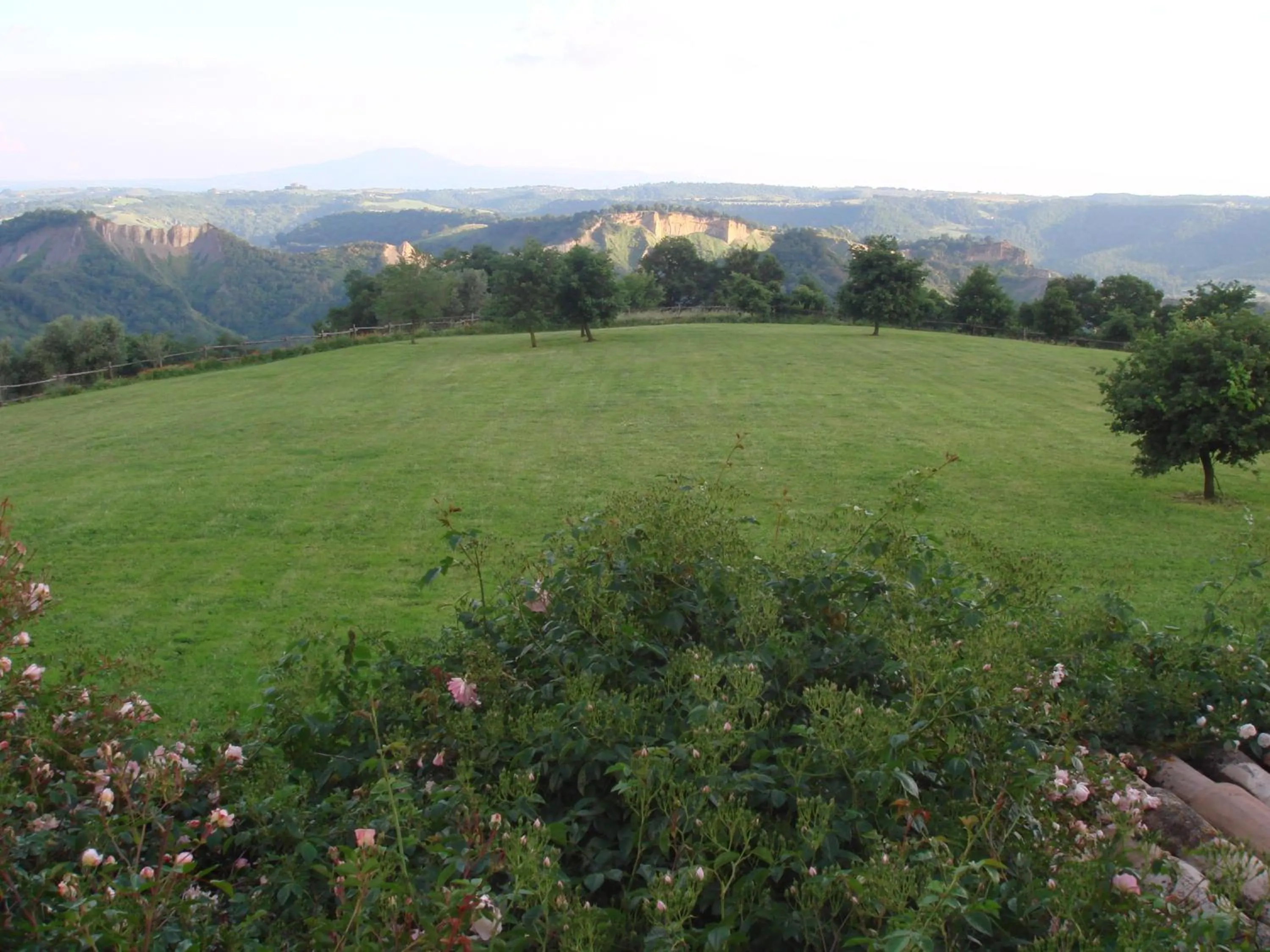Garden in Bed And Breakfast Dopo Il Settimo Cielo