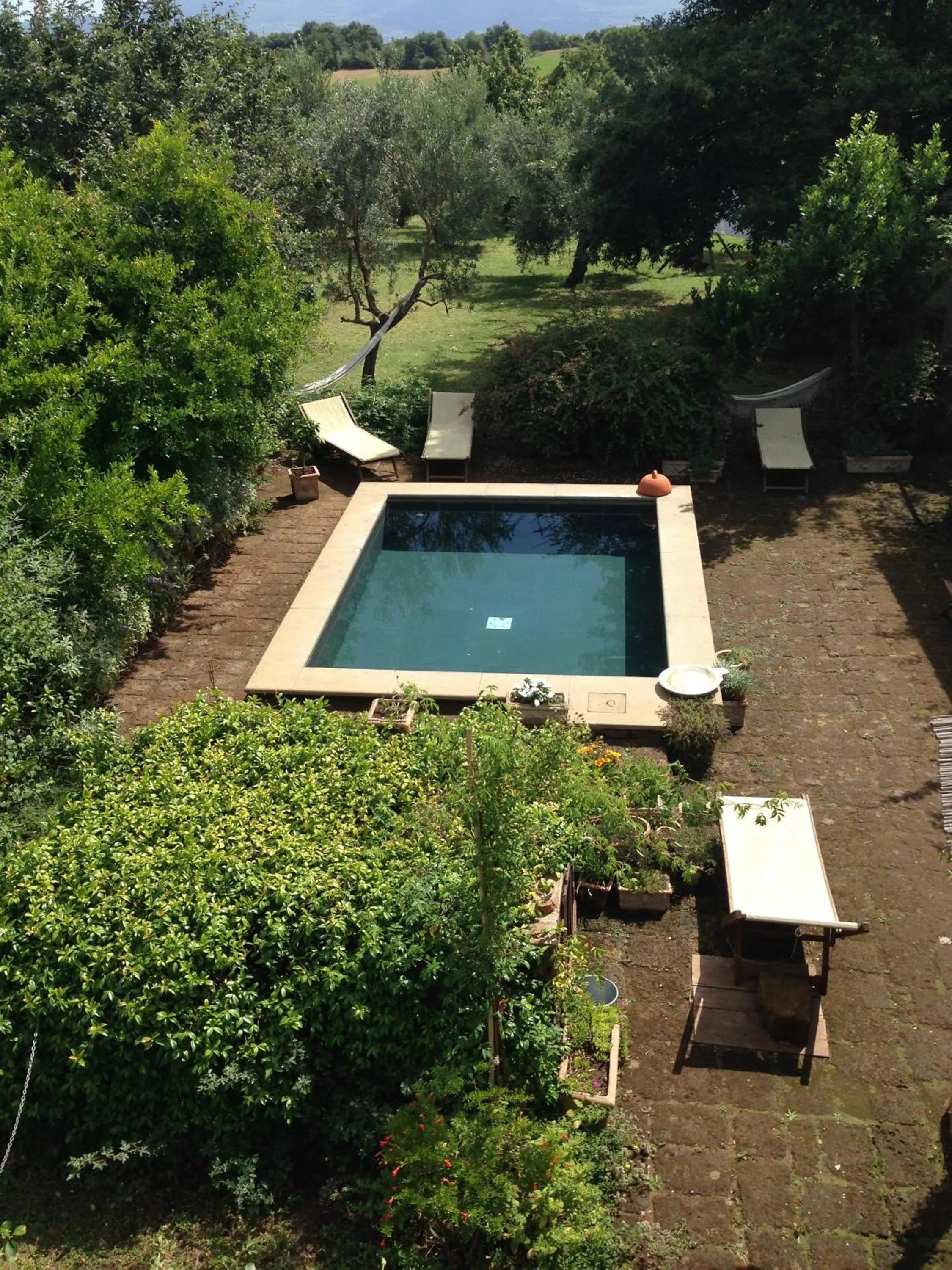Garden view in Bed And Breakfast Dopo Il Settimo Cielo