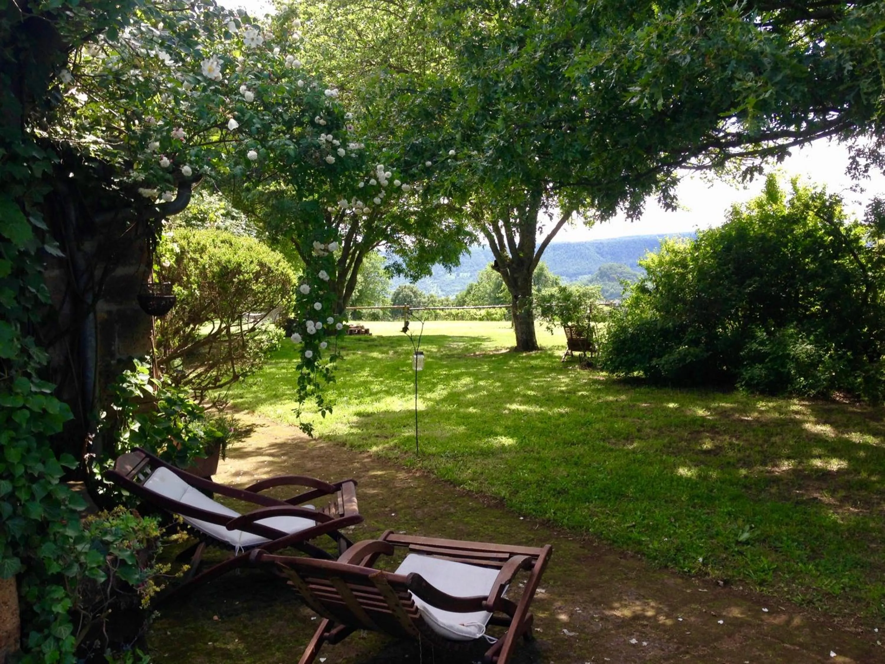 Garden view in Bed And Breakfast Dopo Il Settimo Cielo