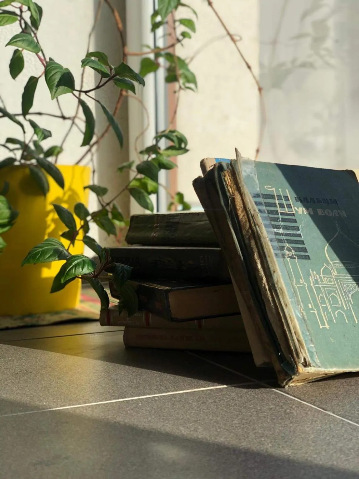 Decorative detail in Natalex MicroLofts