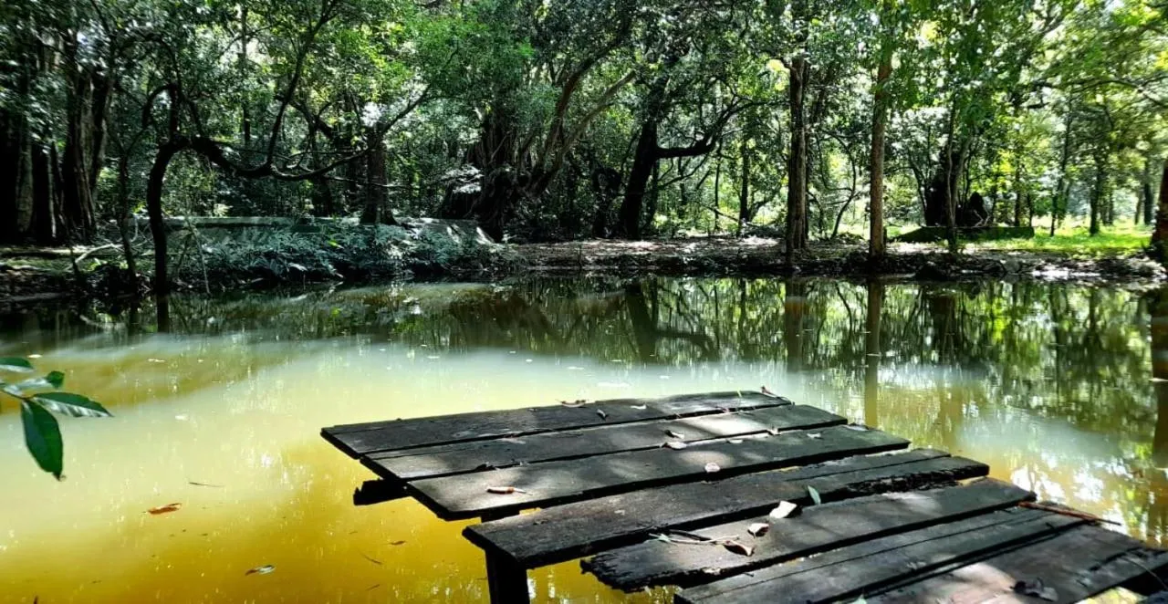 Natural landscape in Sigiri Vananthara