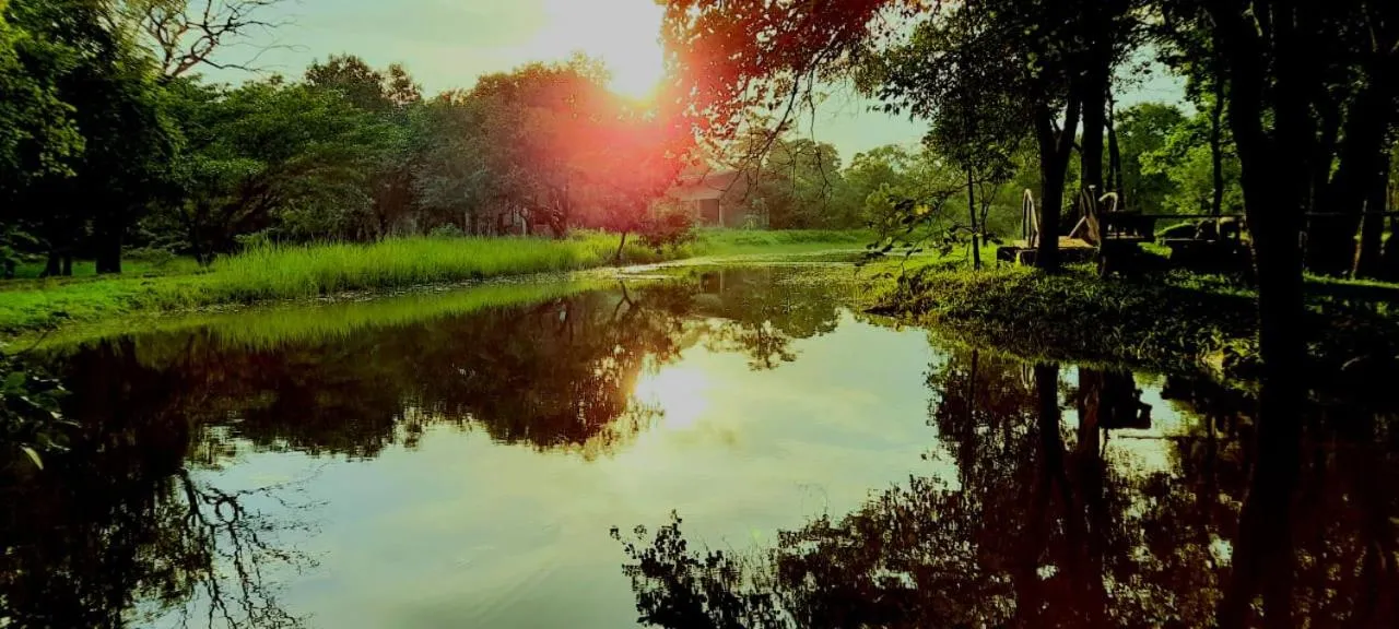 Sunrise in Sigiri Vananthara