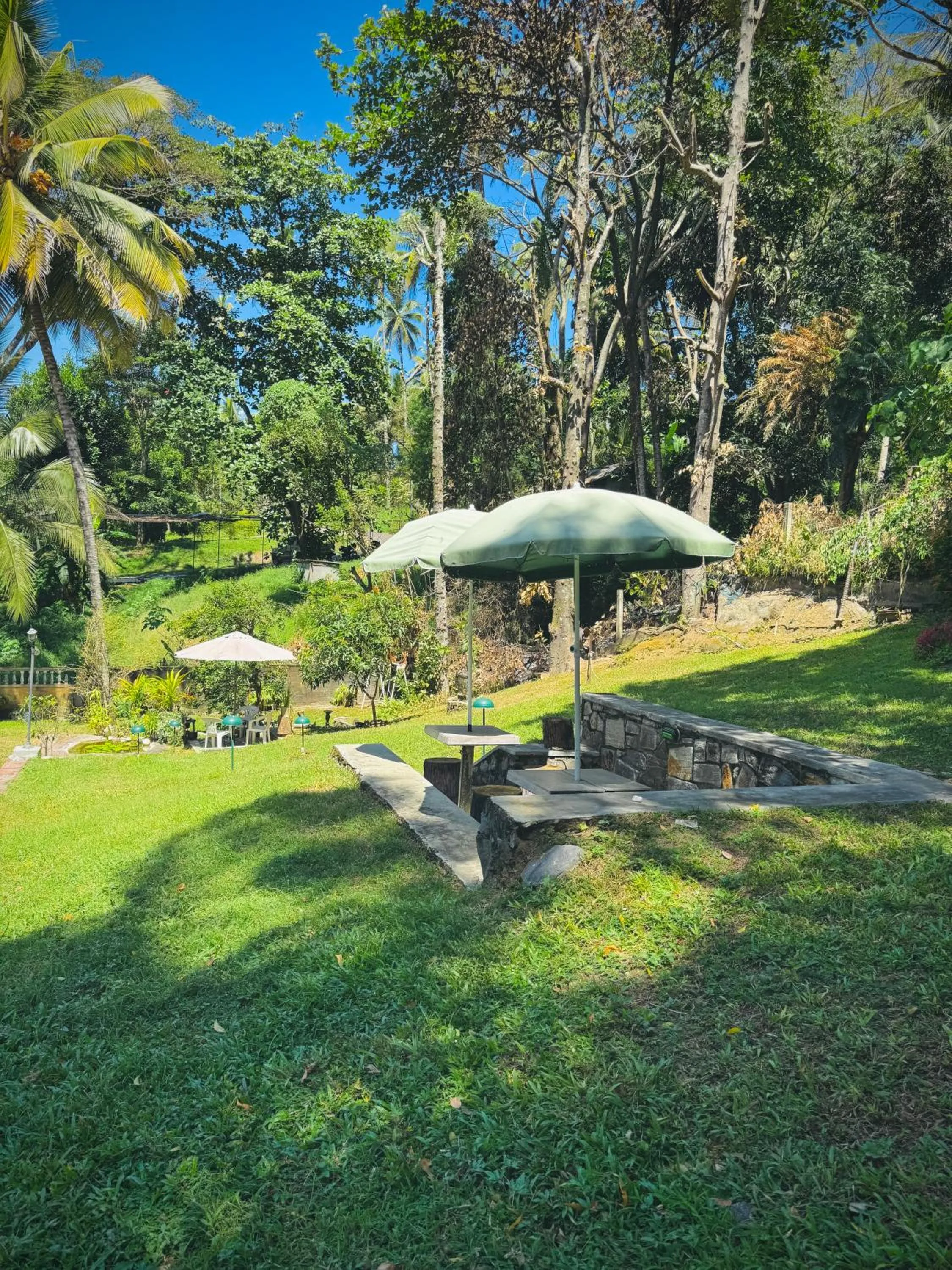 Natural landscape in Mahaweli View Bungalow