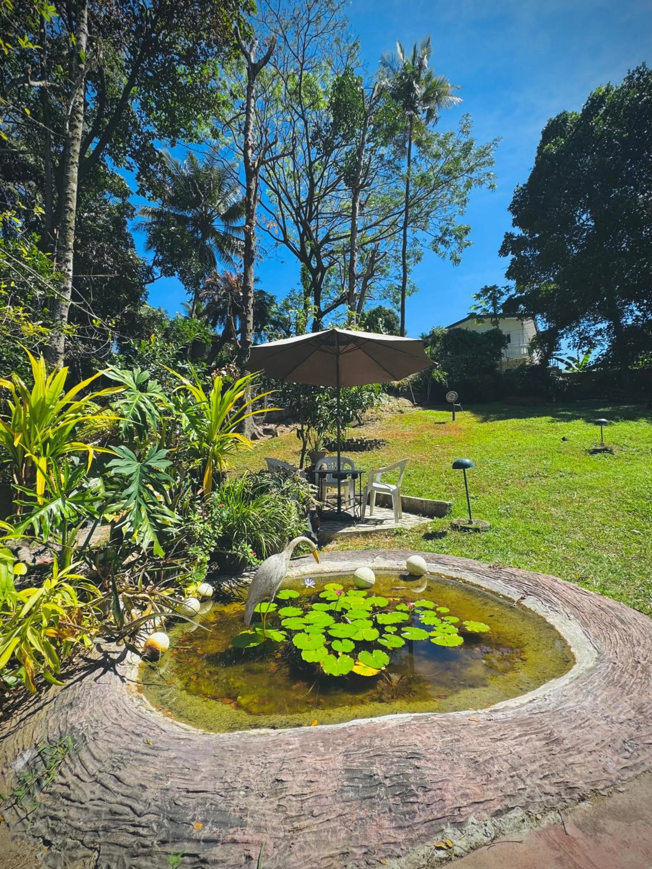 Natural landscape in Mahaweli View Bungalow