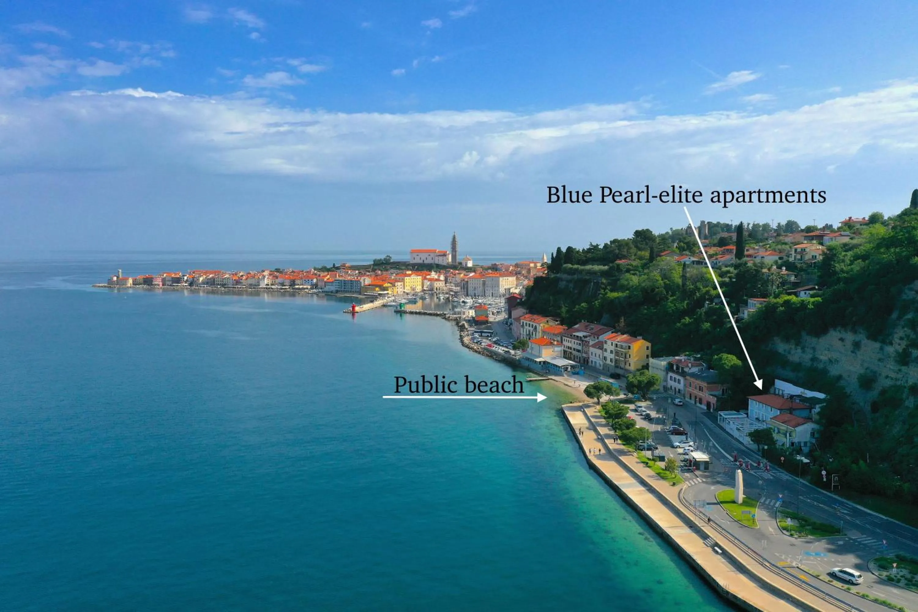 Day in Blue Pearl Elite Apartments