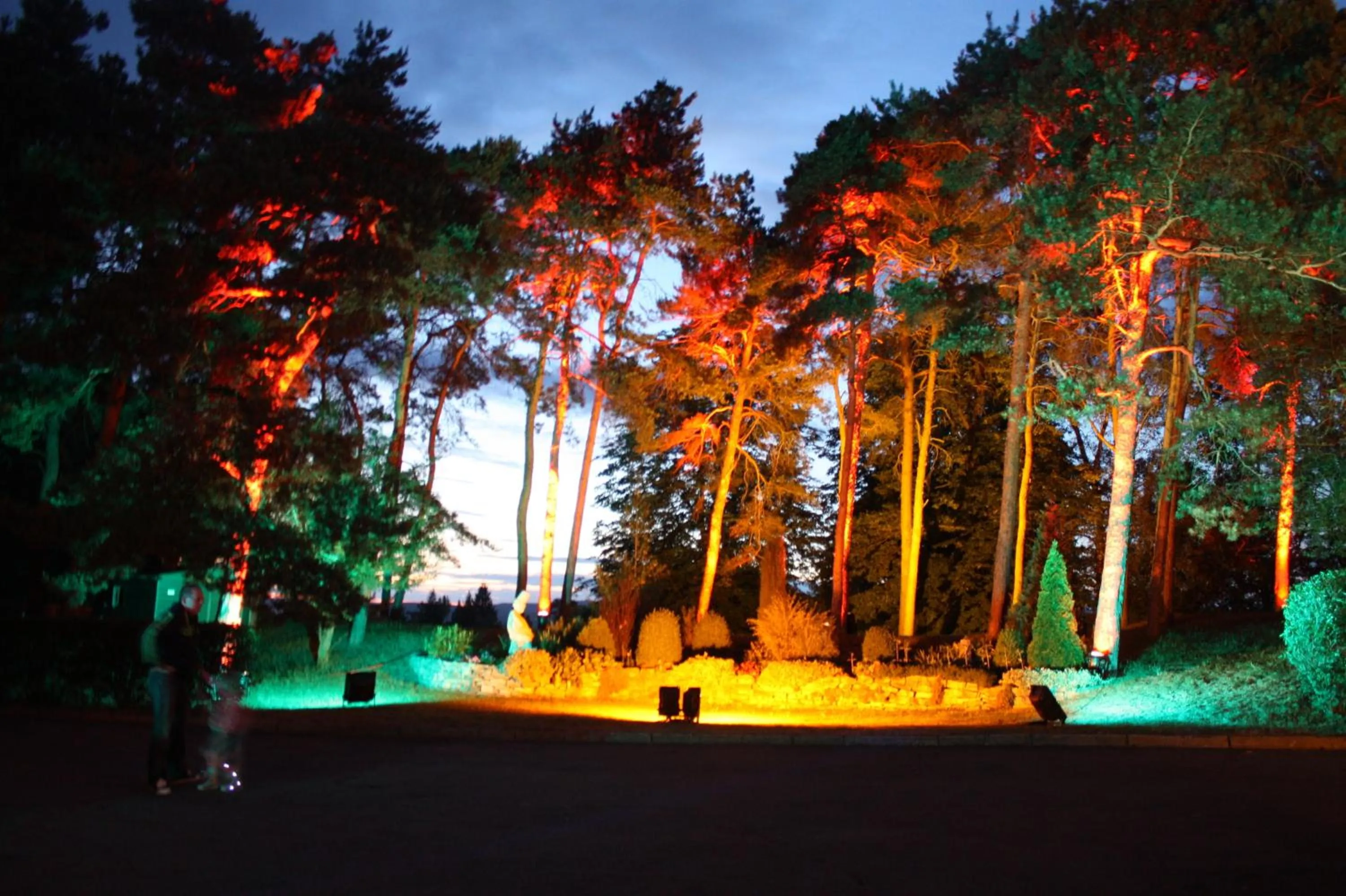 Nightclub / DJ in Hotel & Restaurant Bergfried