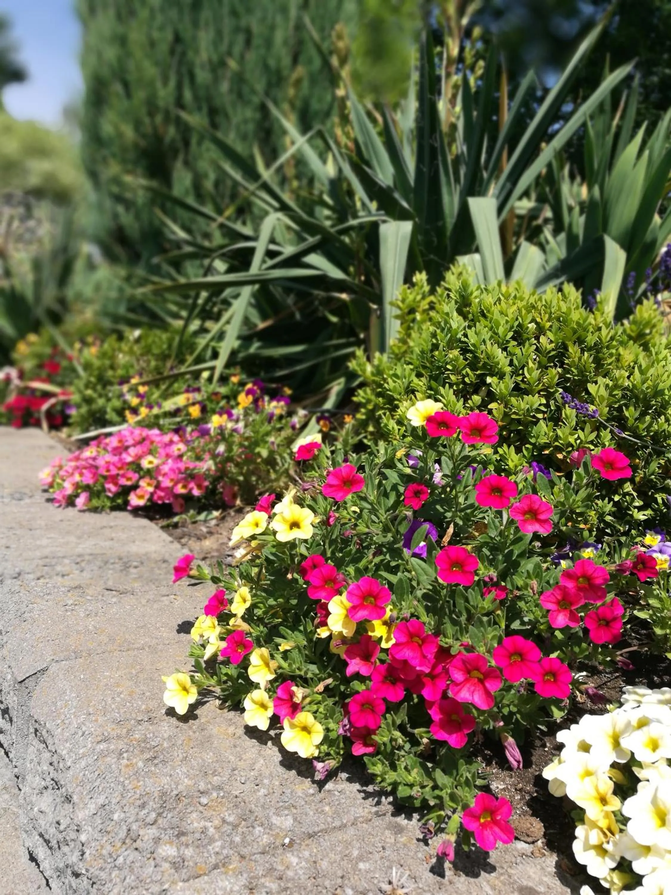 Garden in Hotel & Restaurant Bergfried