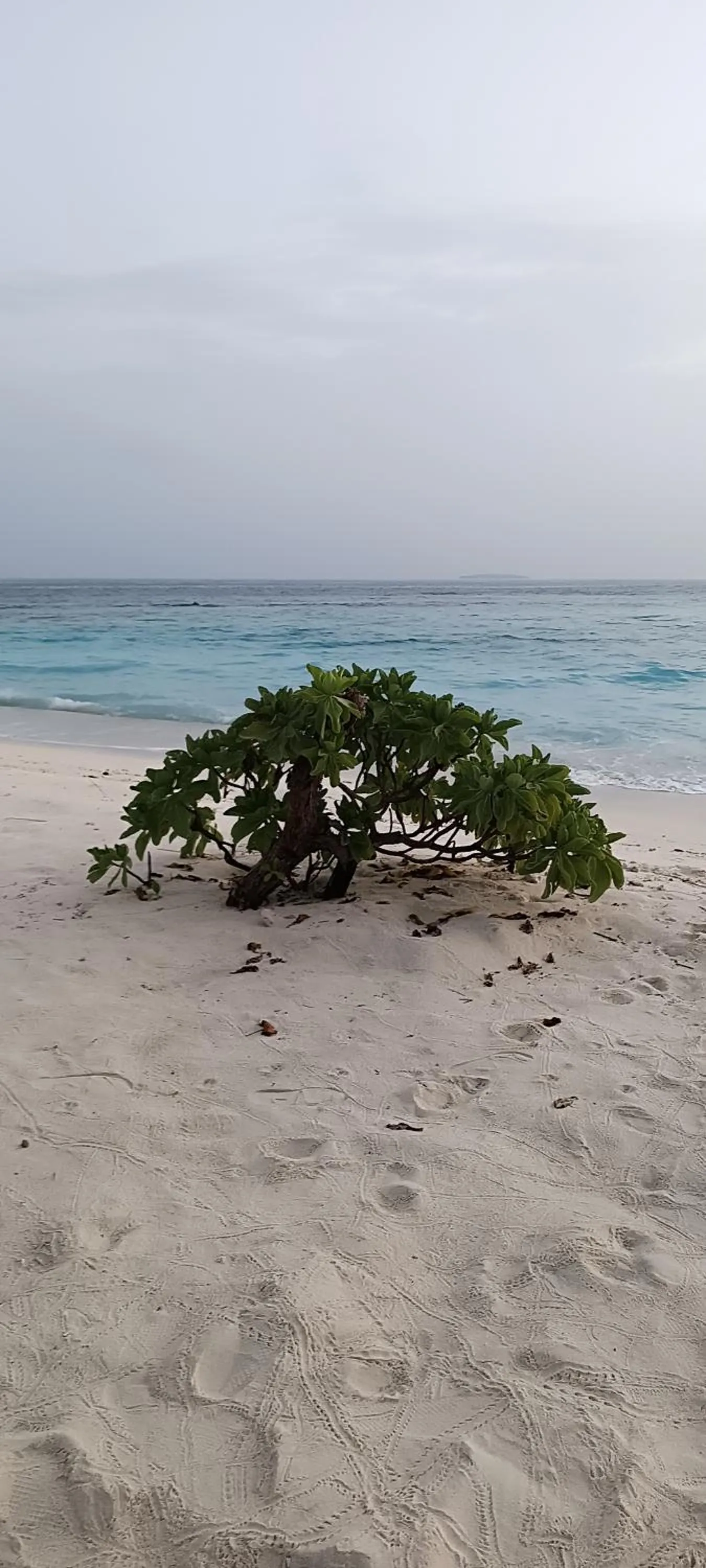 Beach in Manta Sky Inn