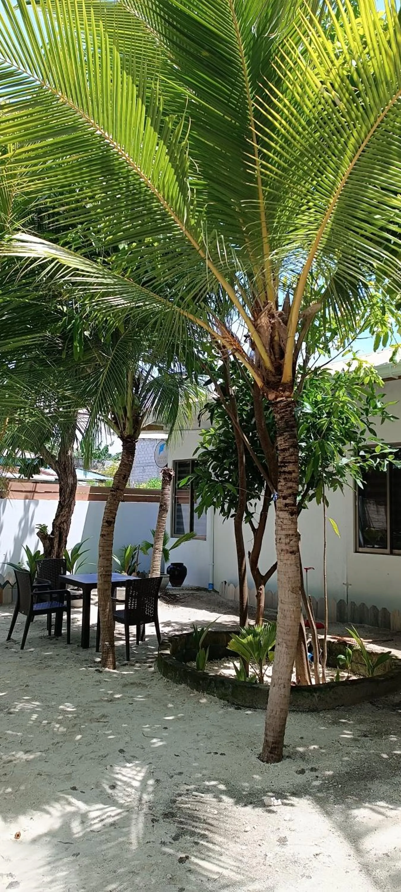 Garden in Manta Sky Inn