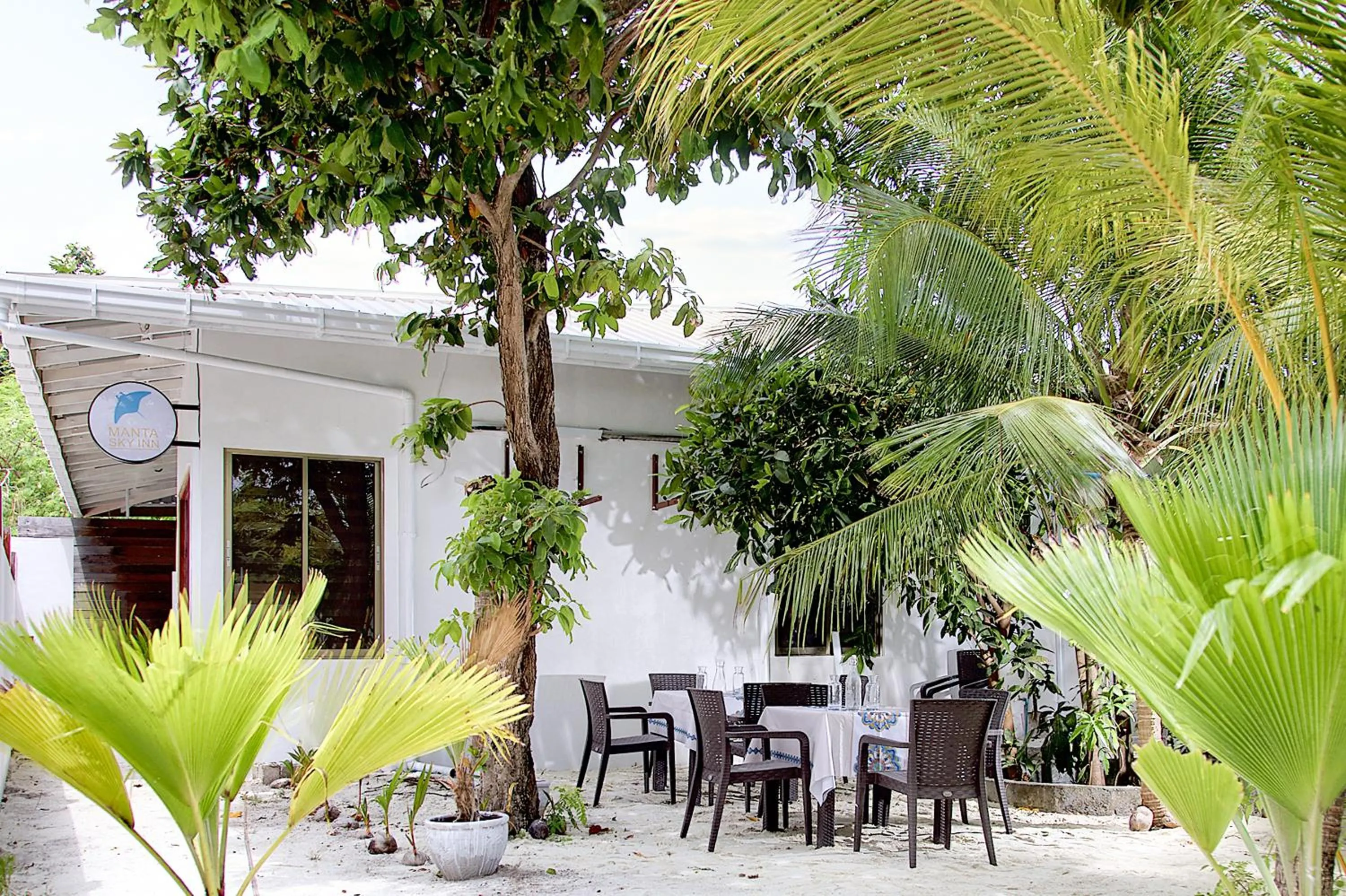 Garden in Manta Sky Inn