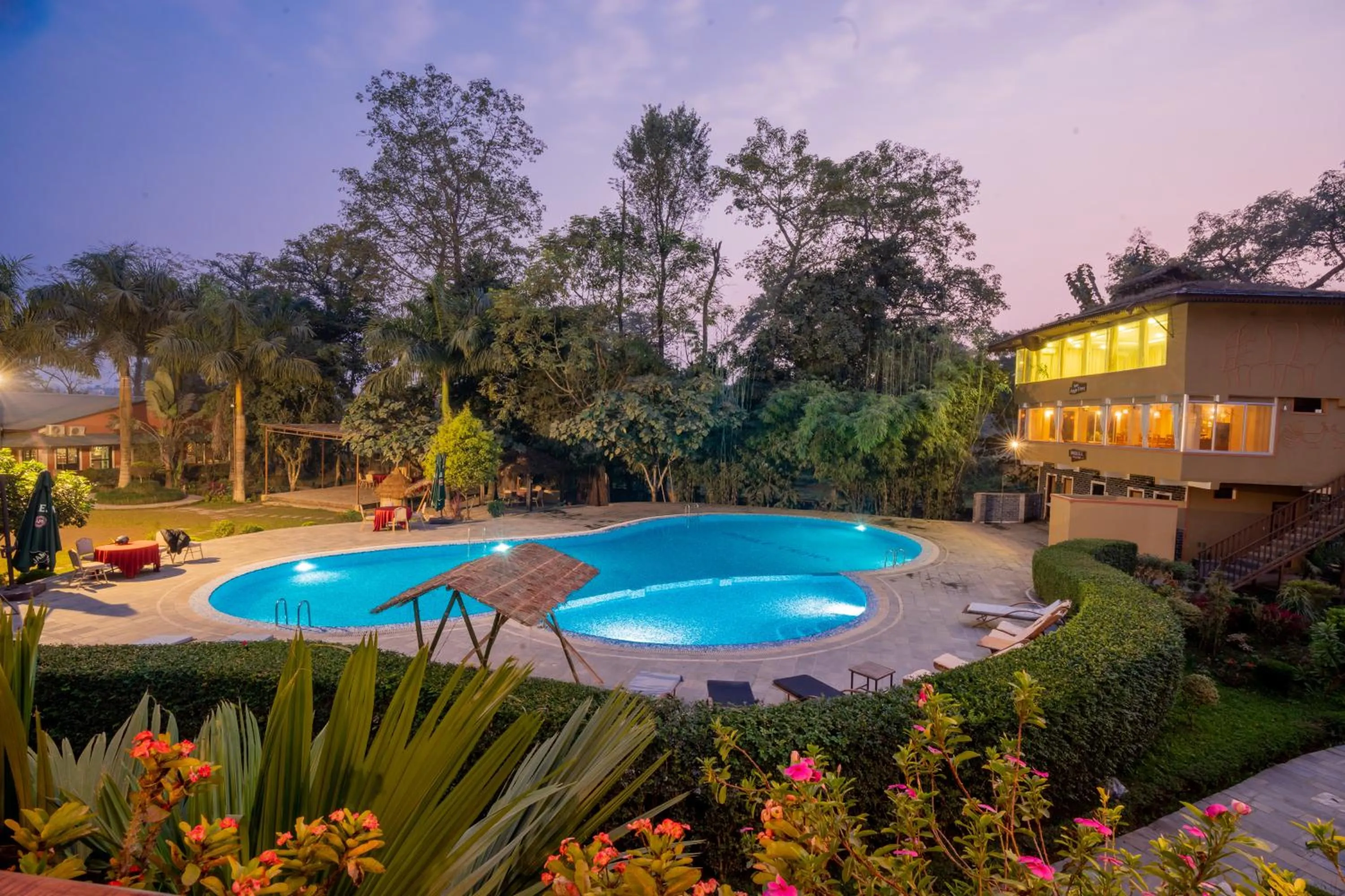 Swimming pool in Hotel Jungle Crown