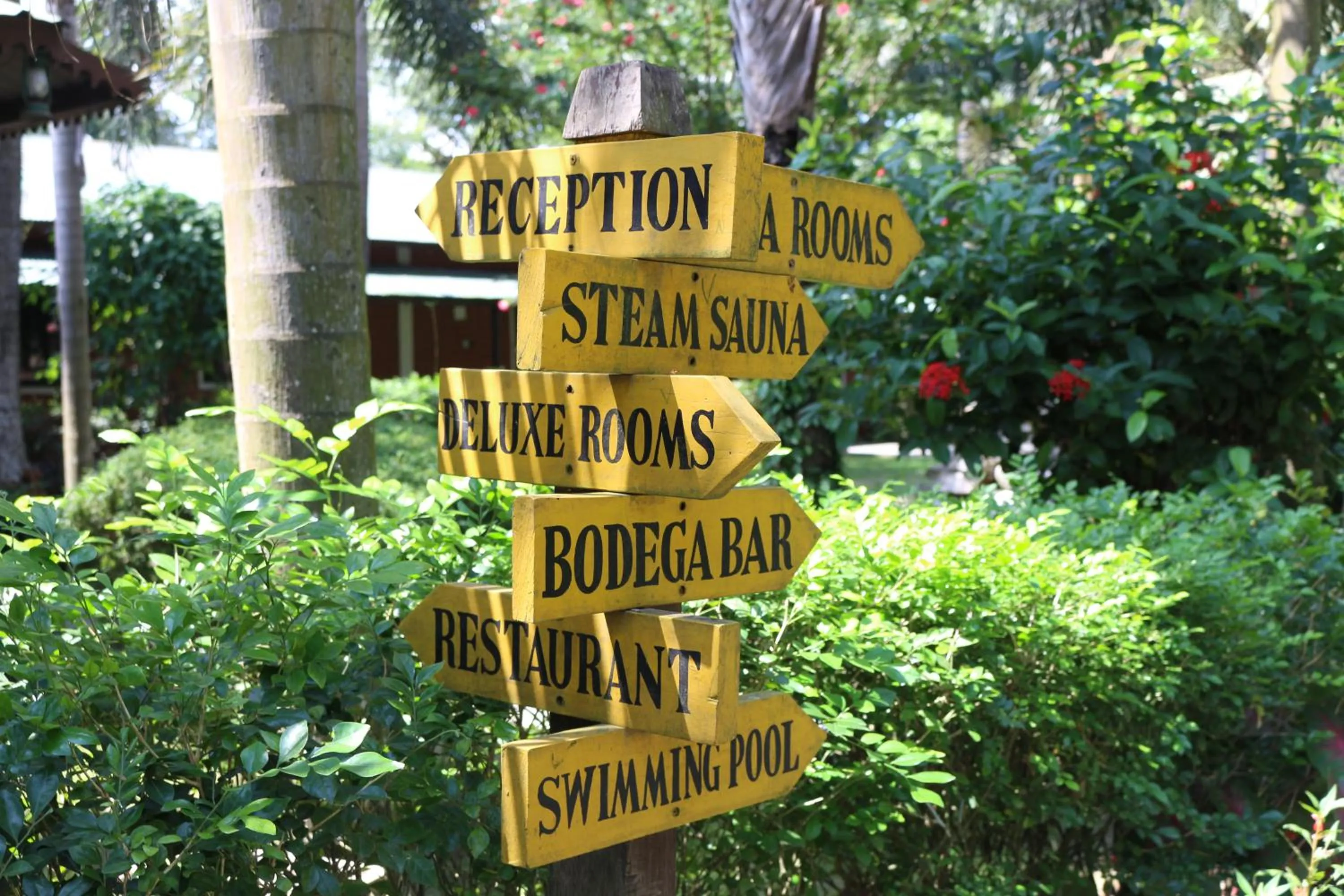 Area and facilities in Hotel Jungle Crown