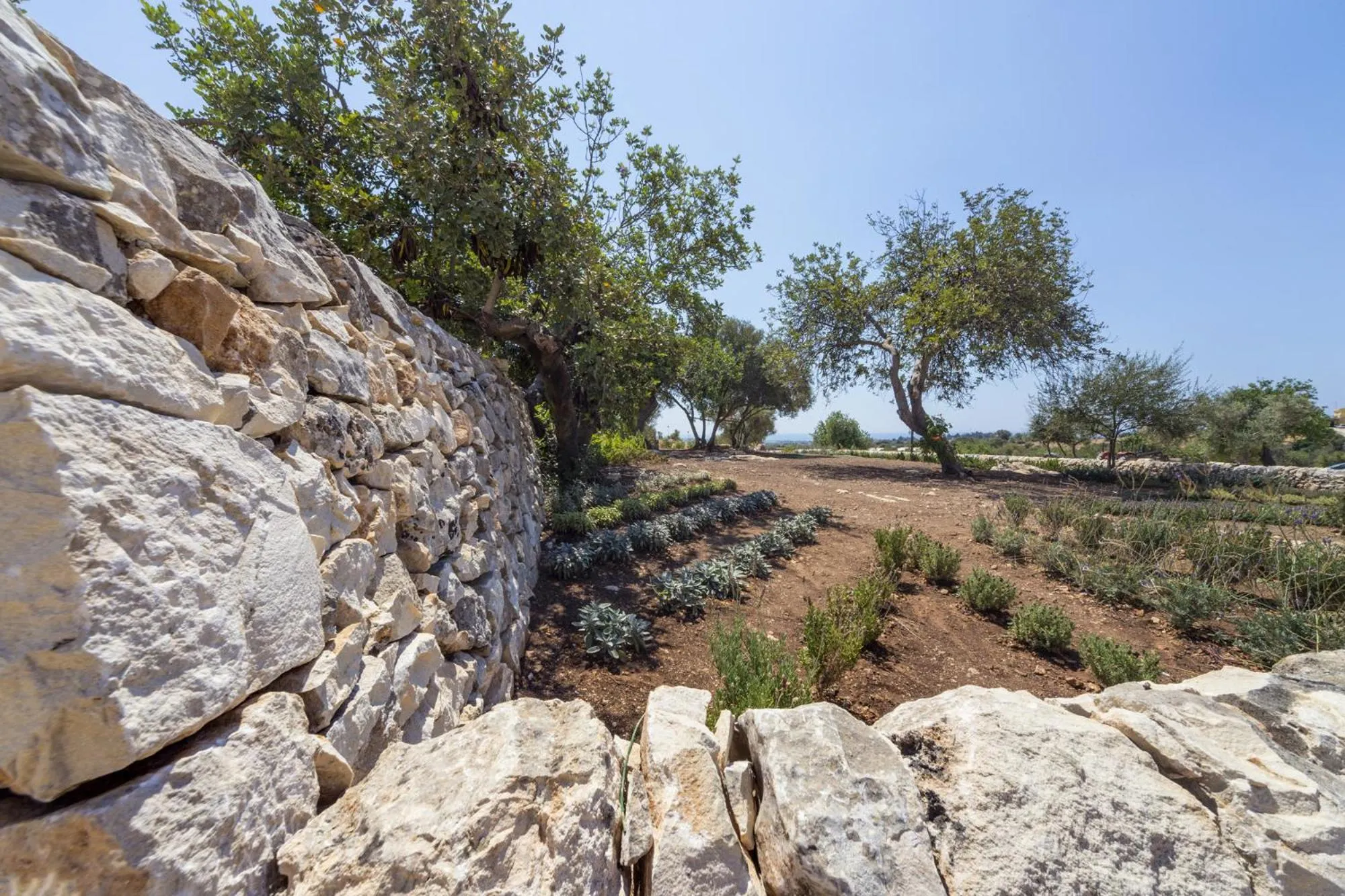 Garden in Casale Graffetta