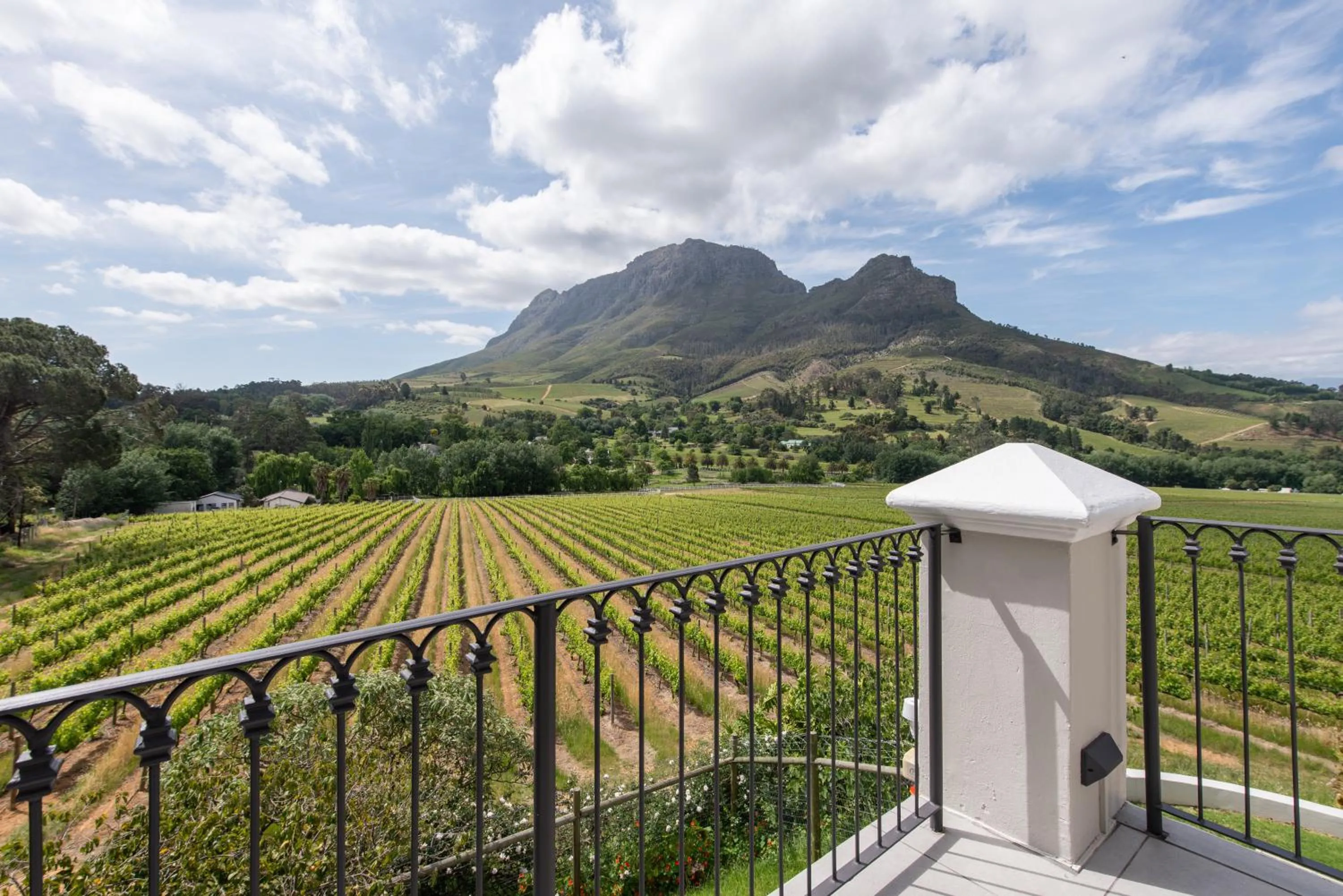 View (from property/room) in Banhoek Lodge