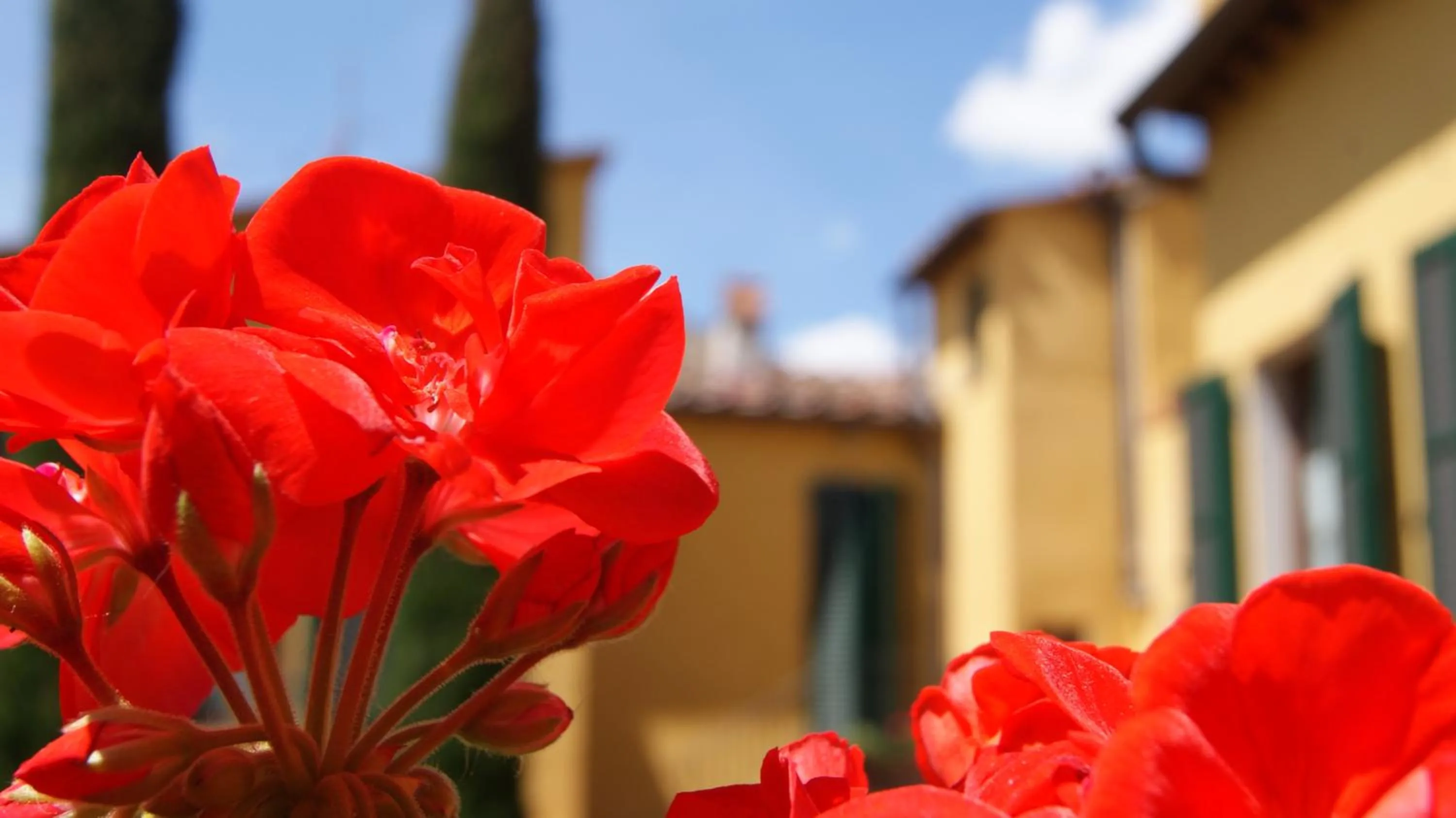 Property building in Al Canto B&B