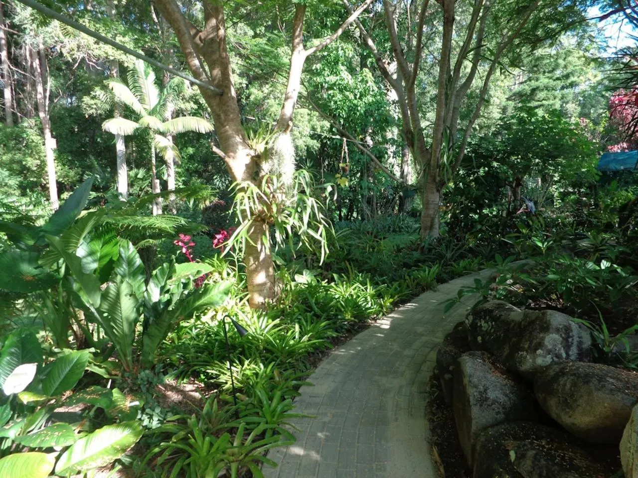 Garden in Noosa Buoys